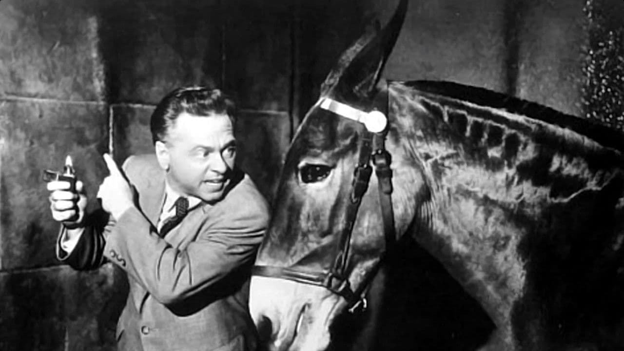 프란시스: 유령의 집에 가다