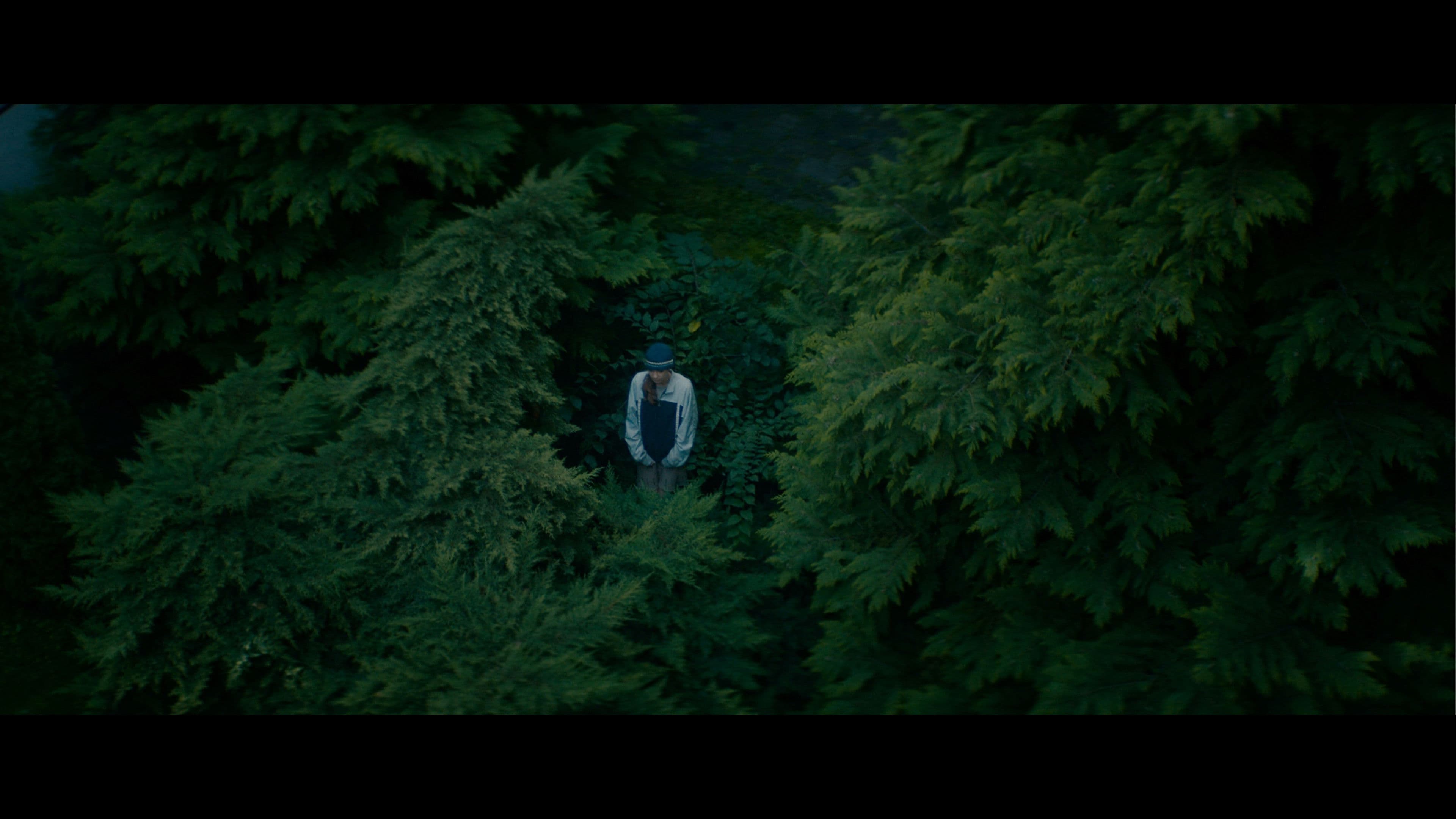 The Silent Treatment