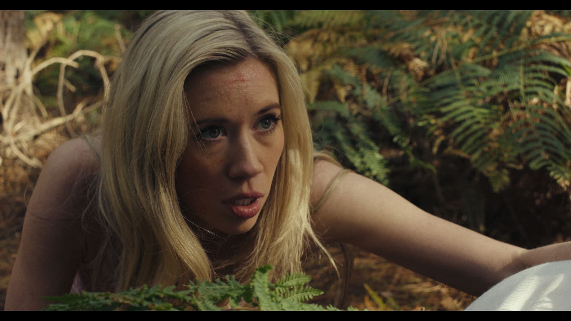 스크림: 더 파이널