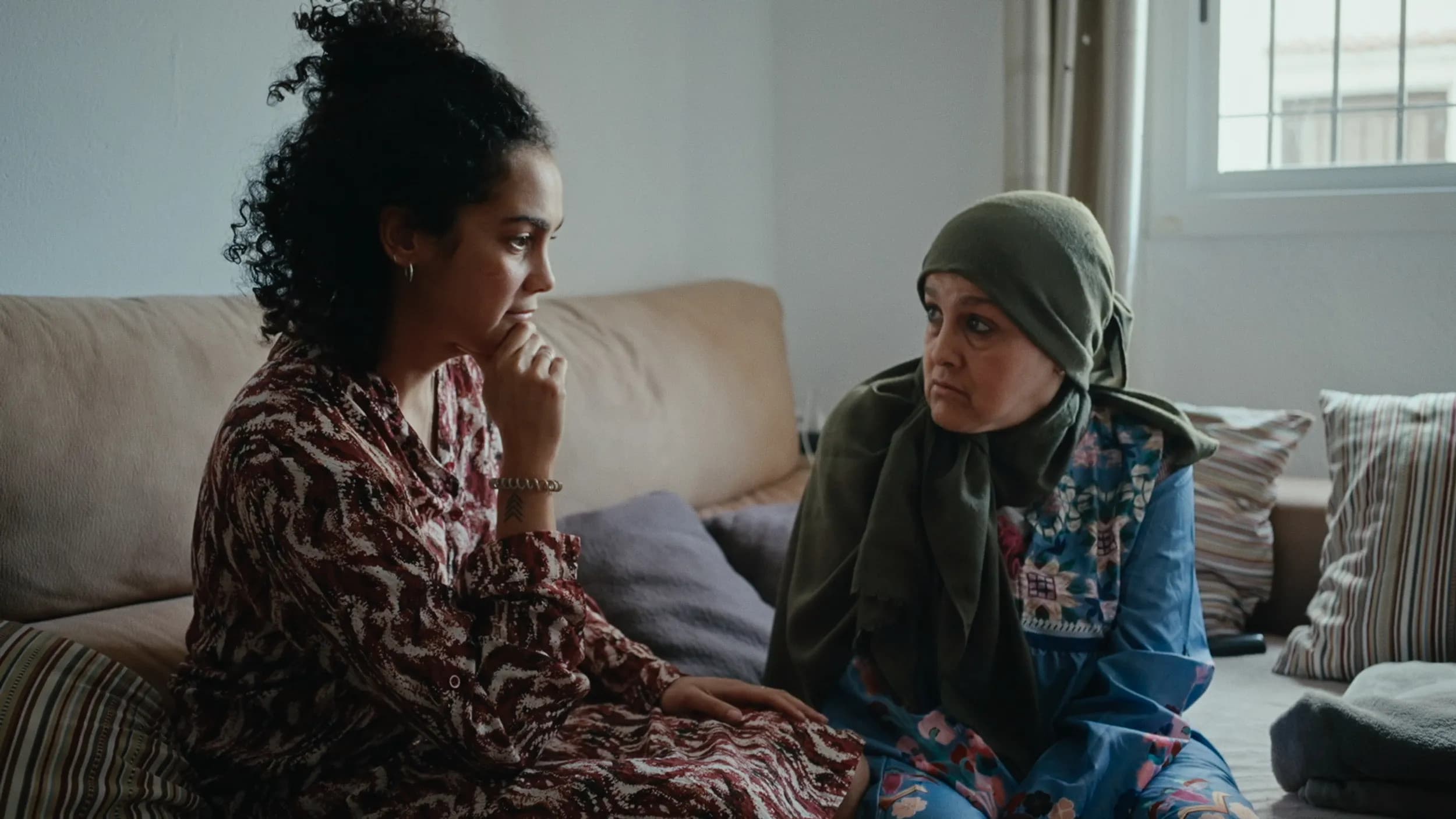 El vol de la cigonya