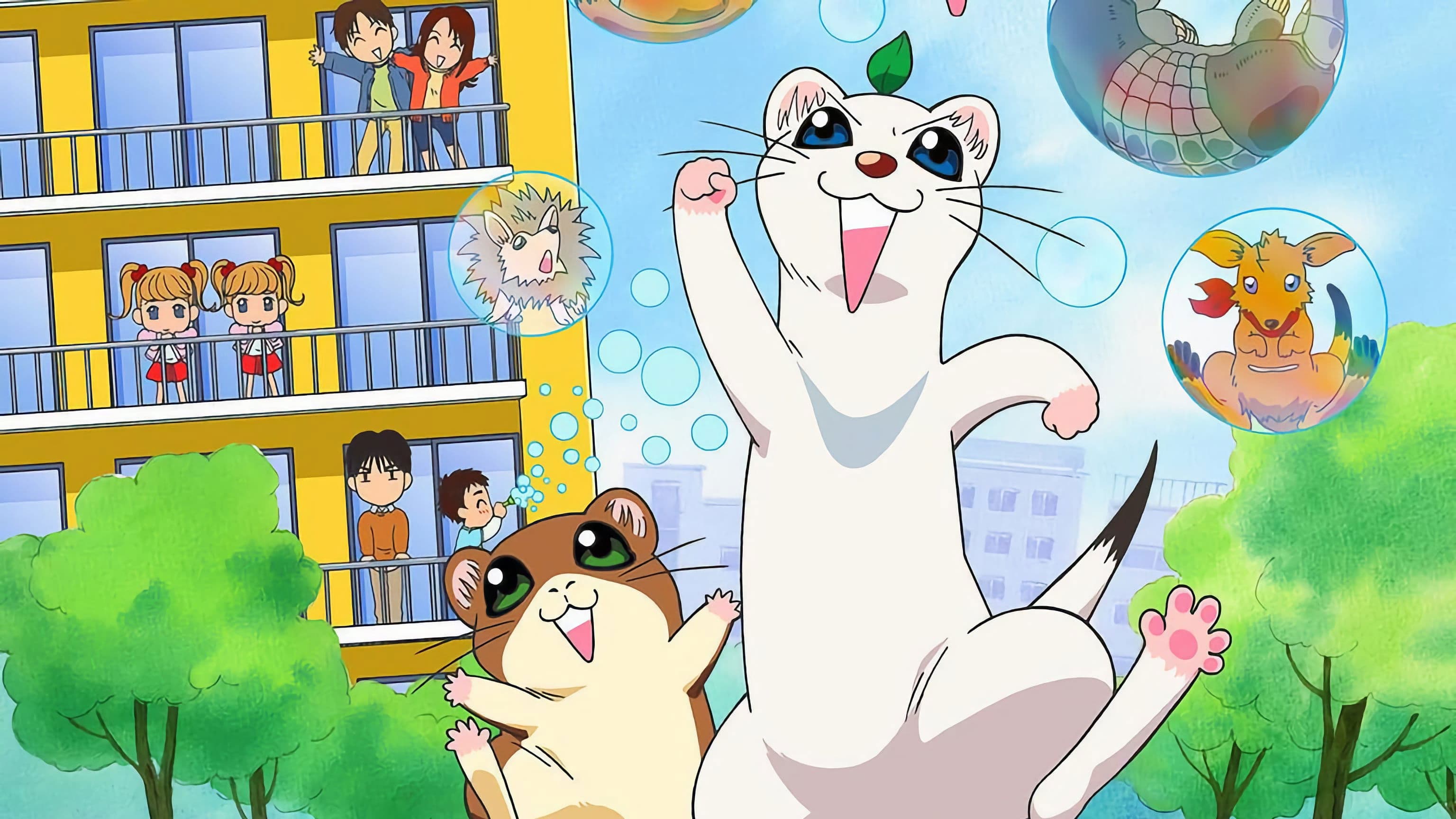 행복한 세상의 족제비