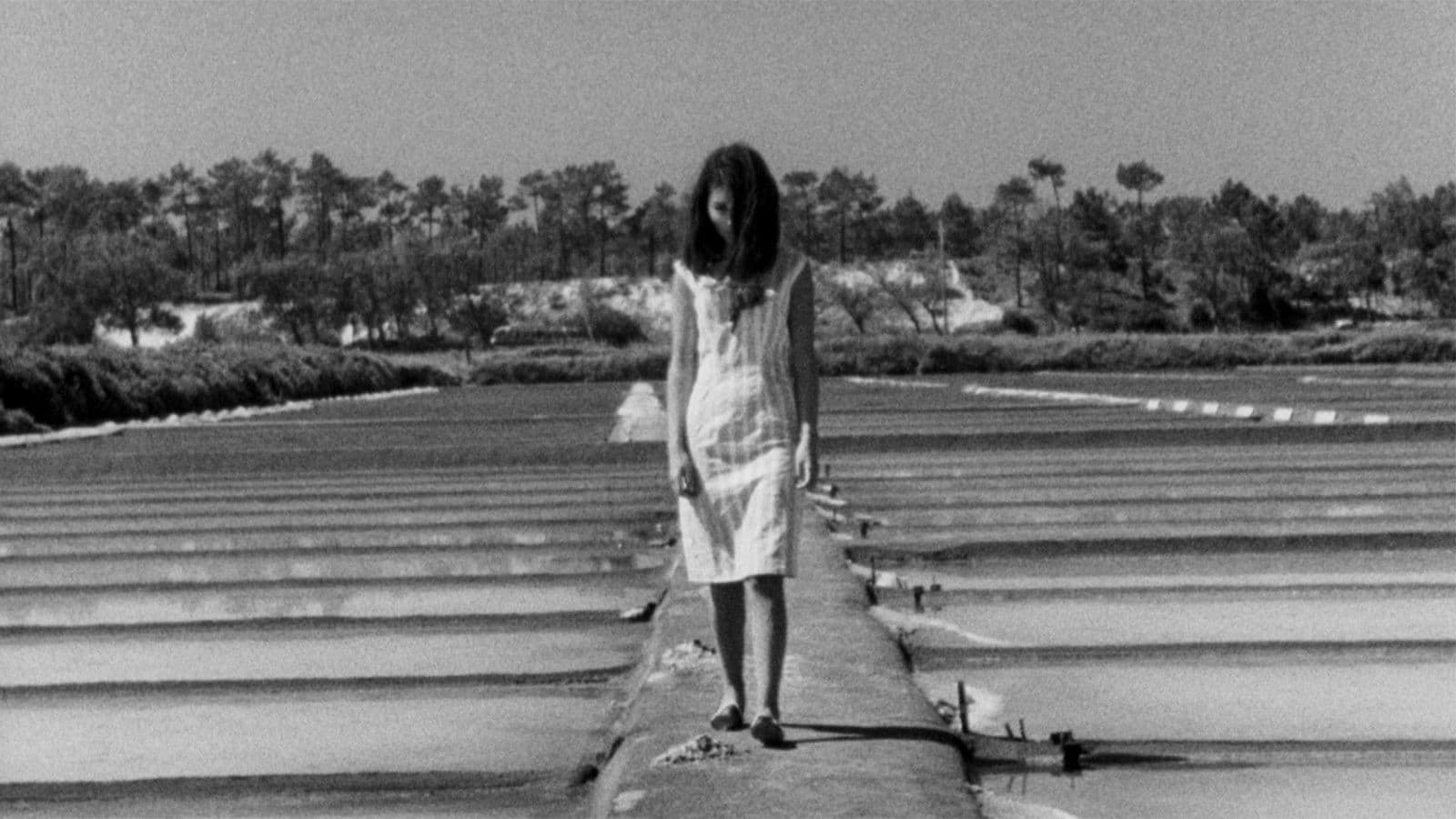 A Invenção do Amor