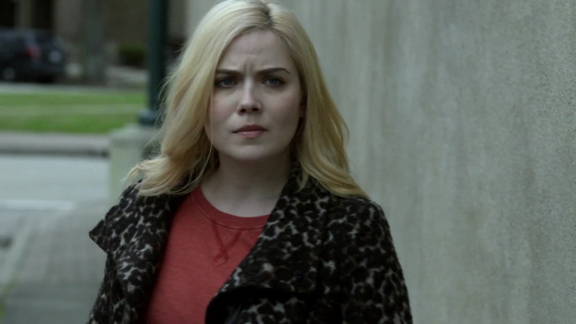 Stolen in Plain Sight