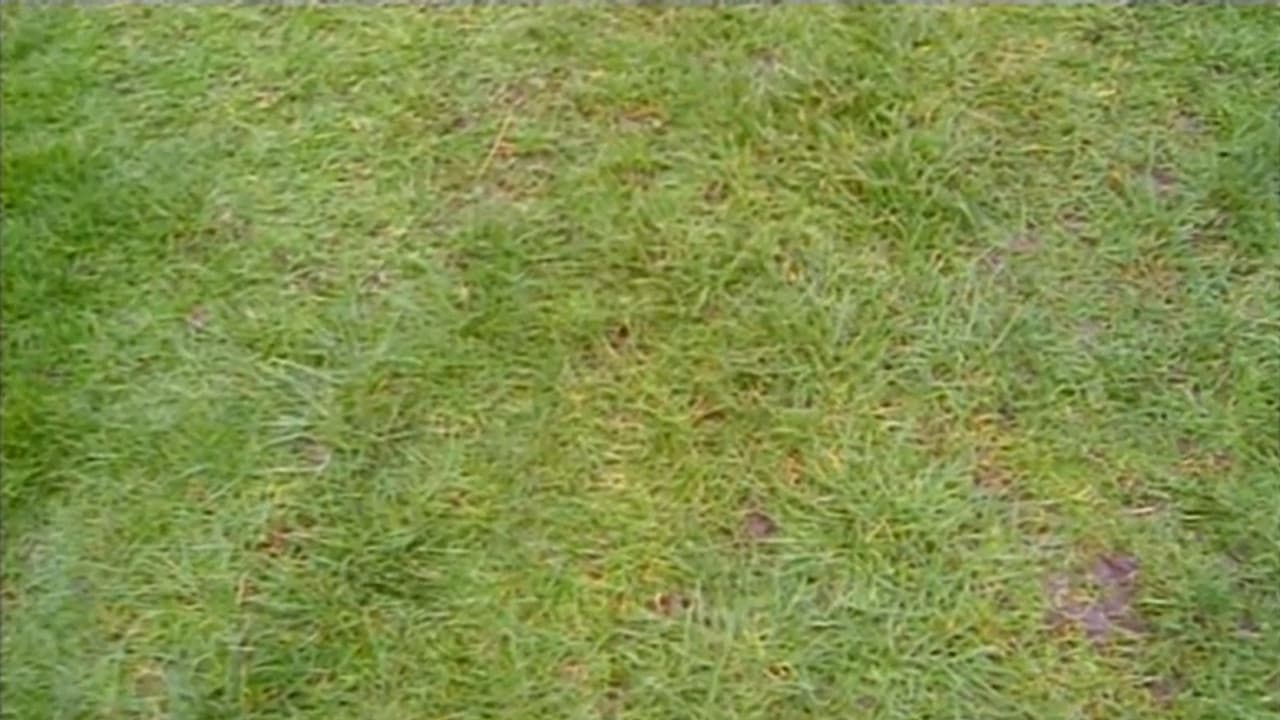 Do You Remember the First Time?