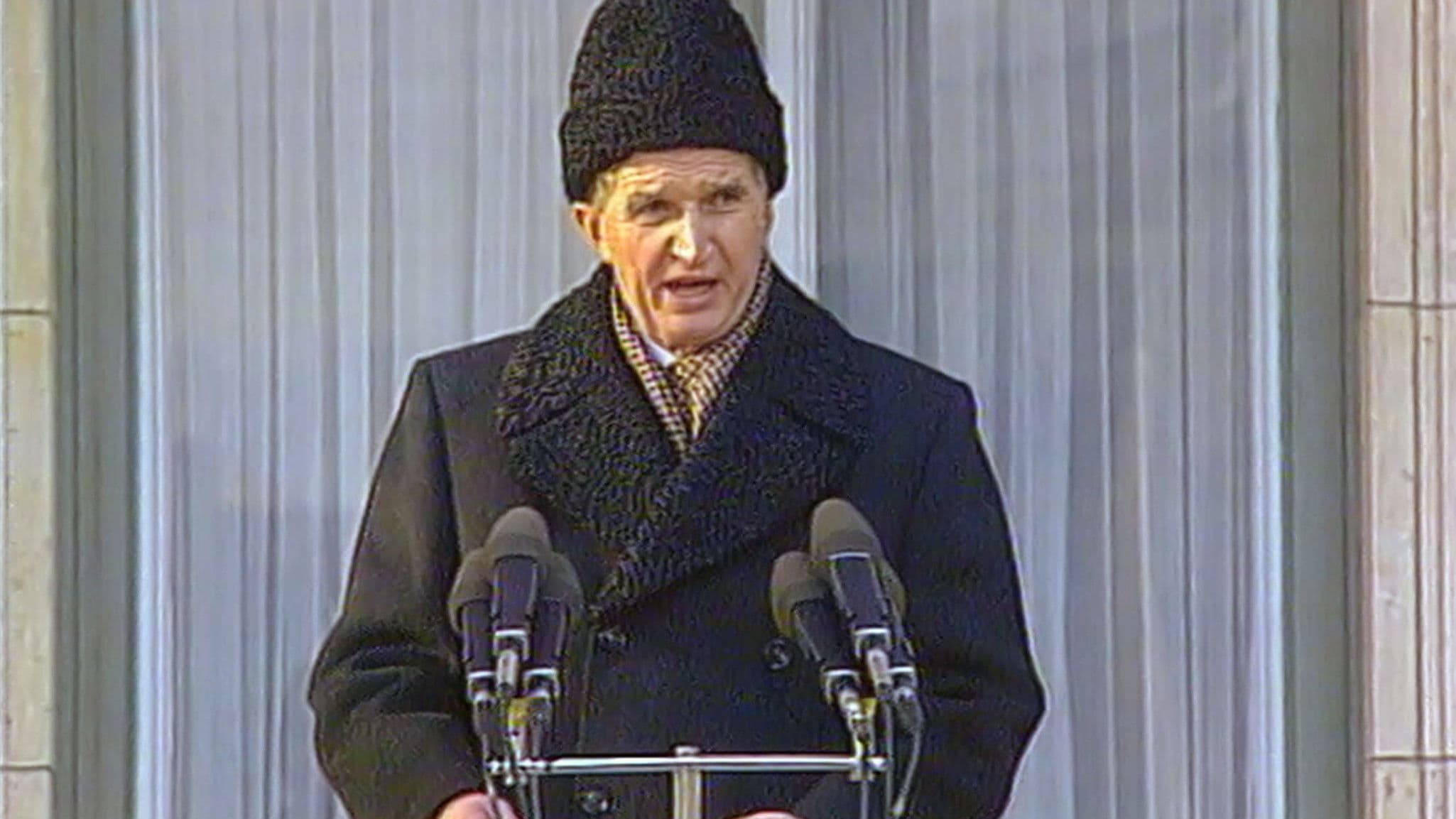 혁명의 비디오그램