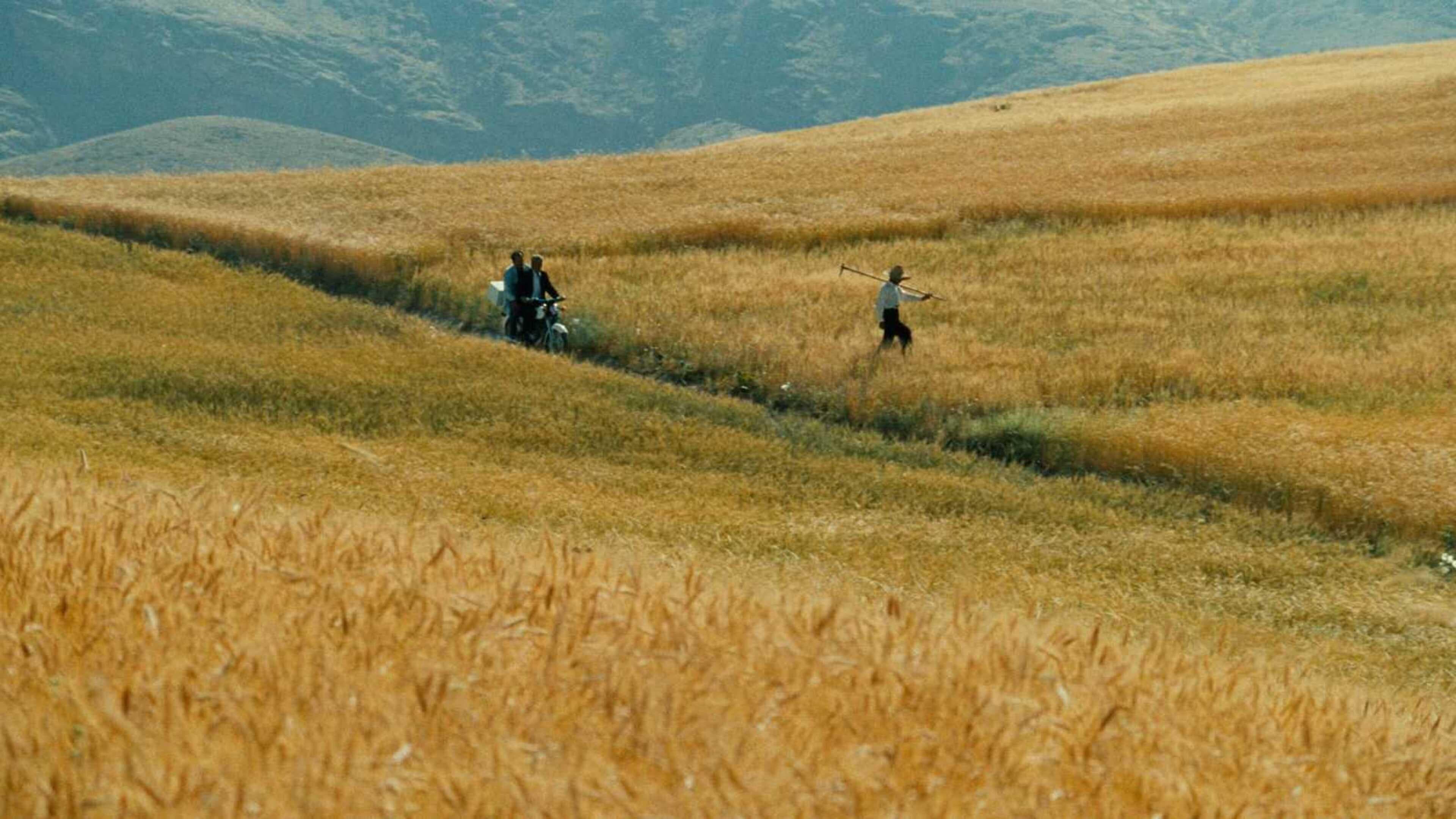 바람이 우리를 데려다 주리라