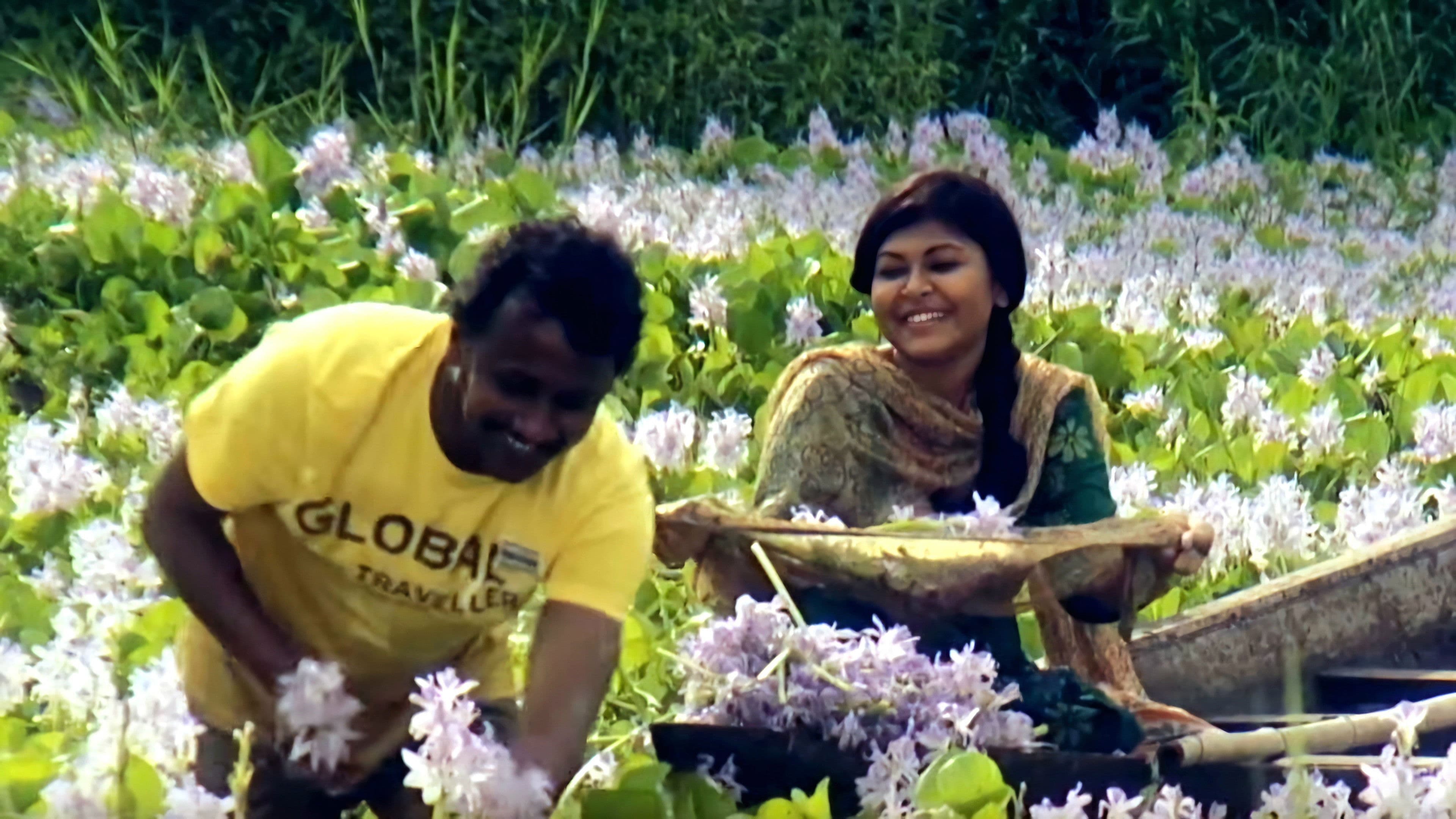 দি ডিরেক্টর