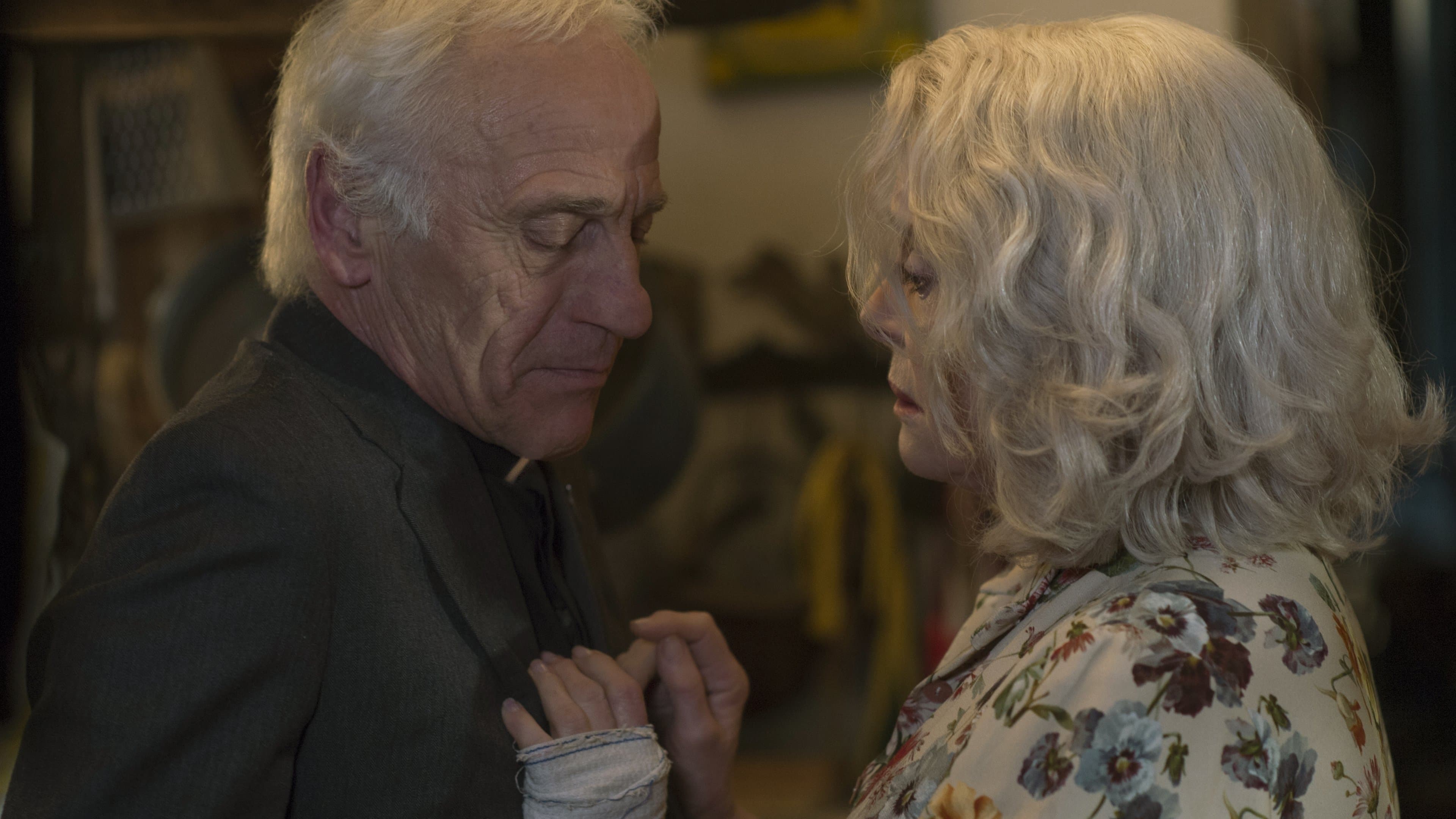 La Dernière Folie de Claire Darling