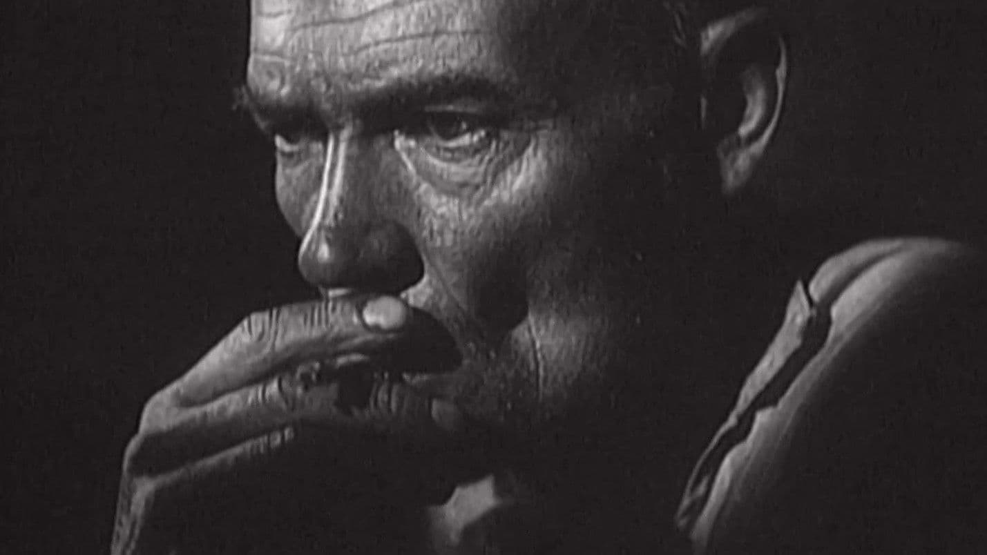 Штурмові ночі