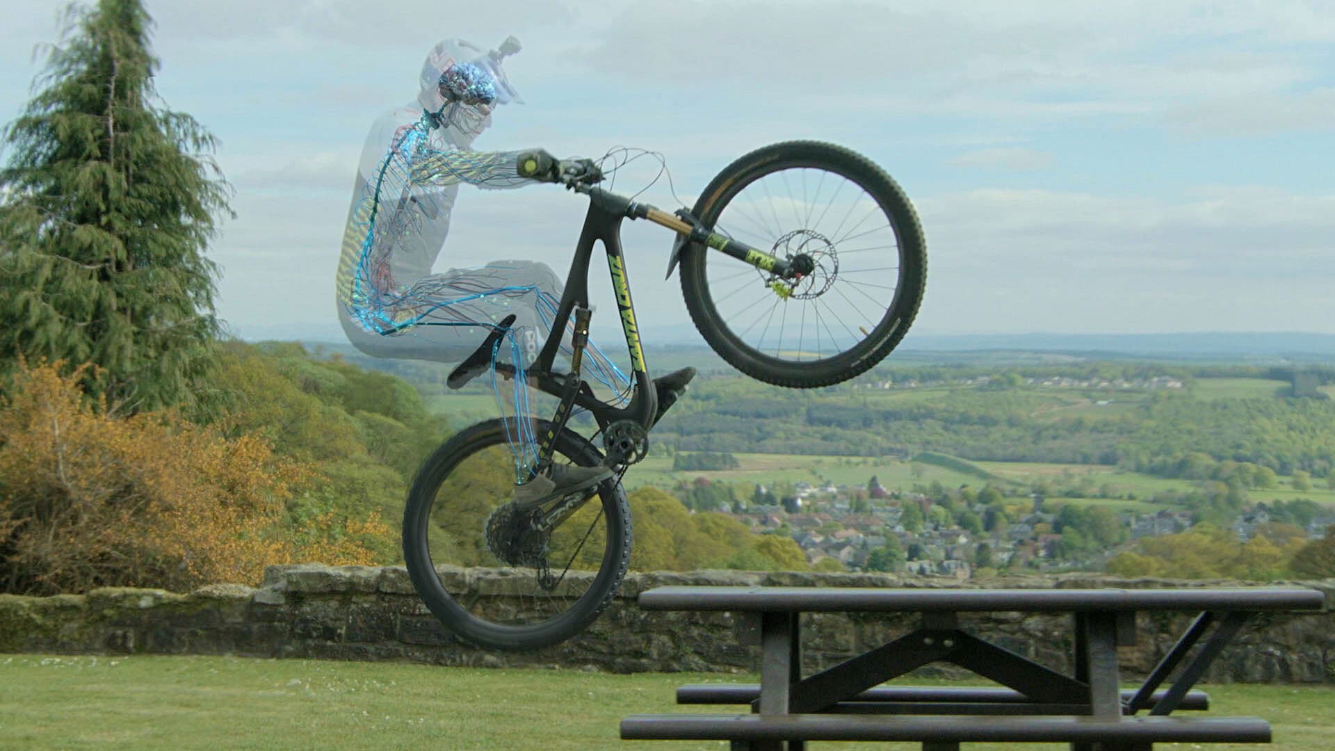 인체의 신비한 비밀