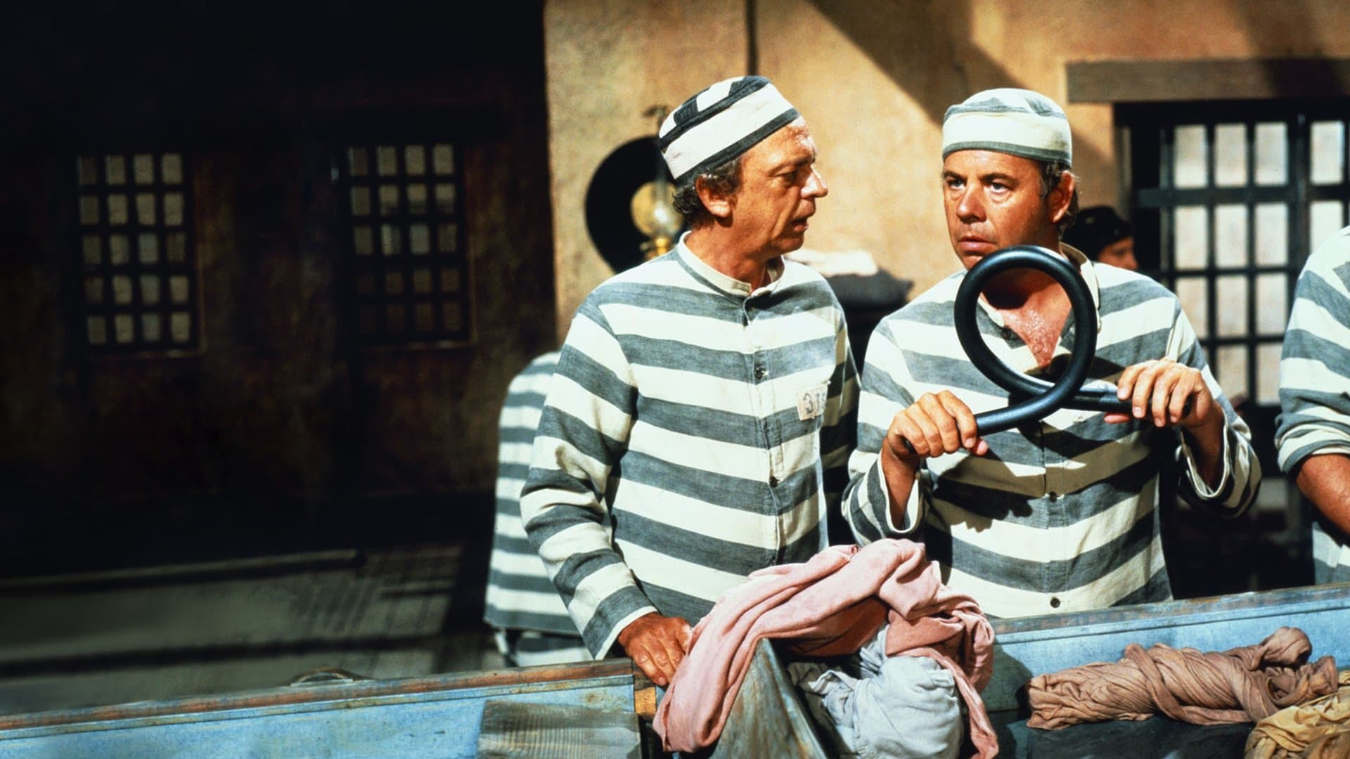 더 애플 덤플링 갱 라이즈 어게인