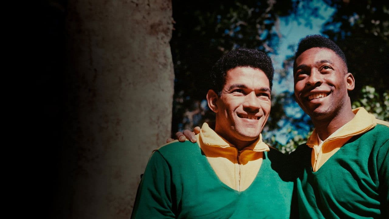 O Negro no Futebol Brasileiro