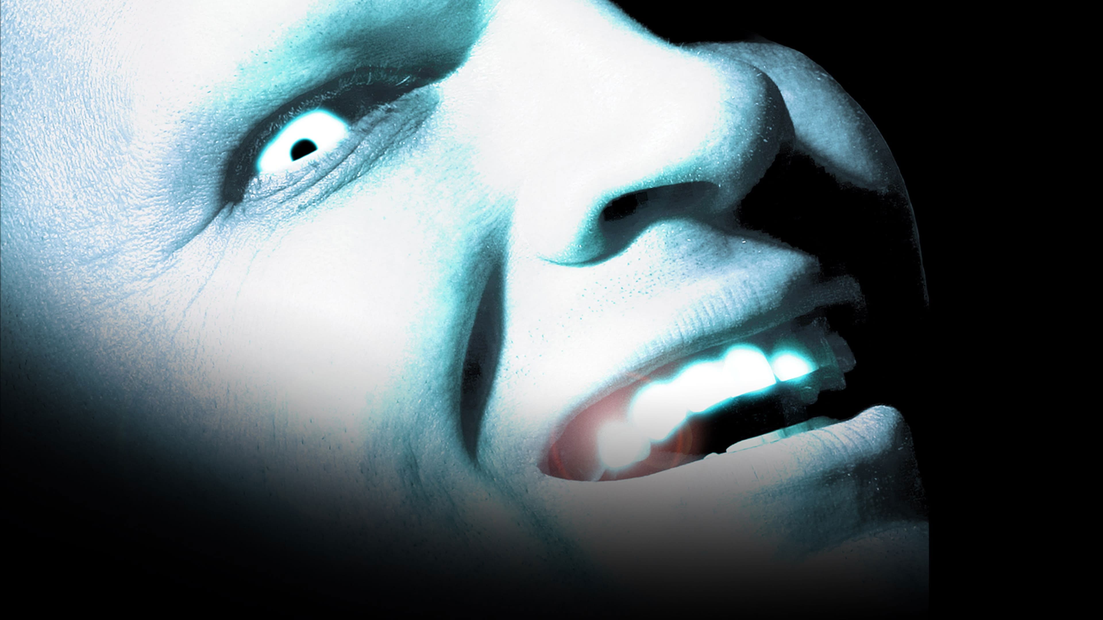 WWE 언포기븐 2004