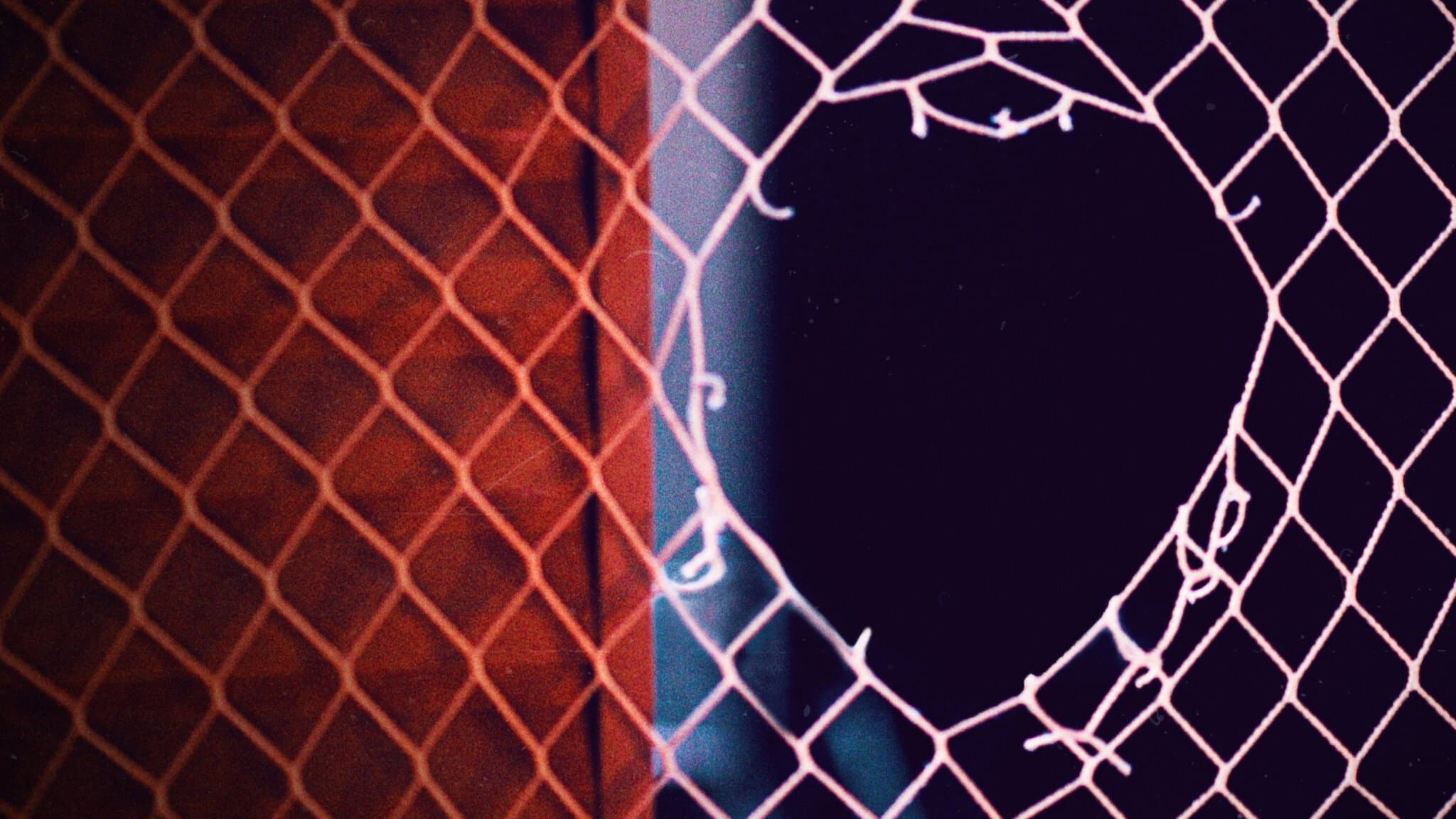 다섯 살 소녀의 죽음: 이자벨라 나르도니 사건