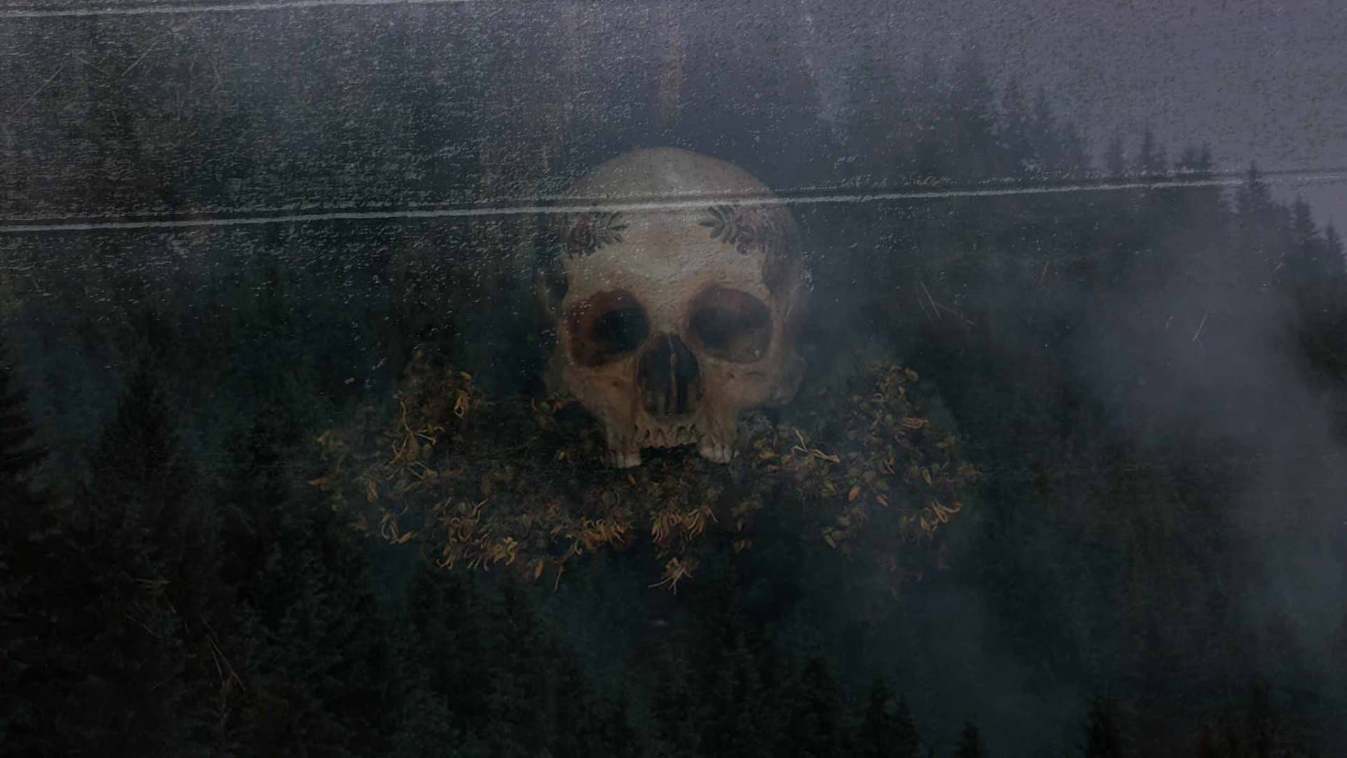 하가추사: 어 히던스 커스