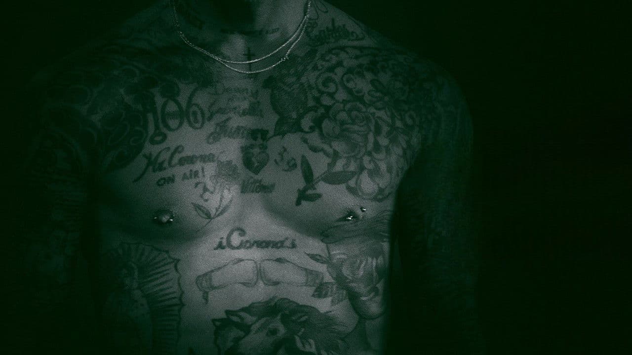 파브리치오 코로나: 파파라치 킹