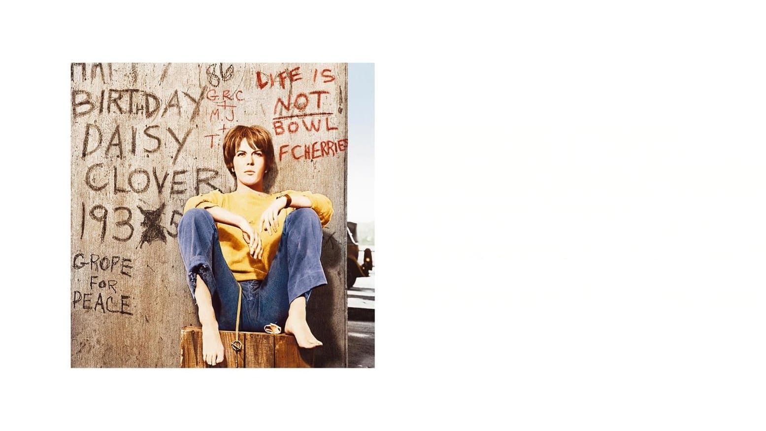 인사이드 데이지 클로버