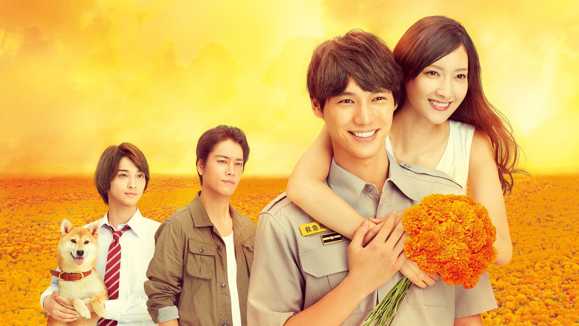 4분간의 마리골드