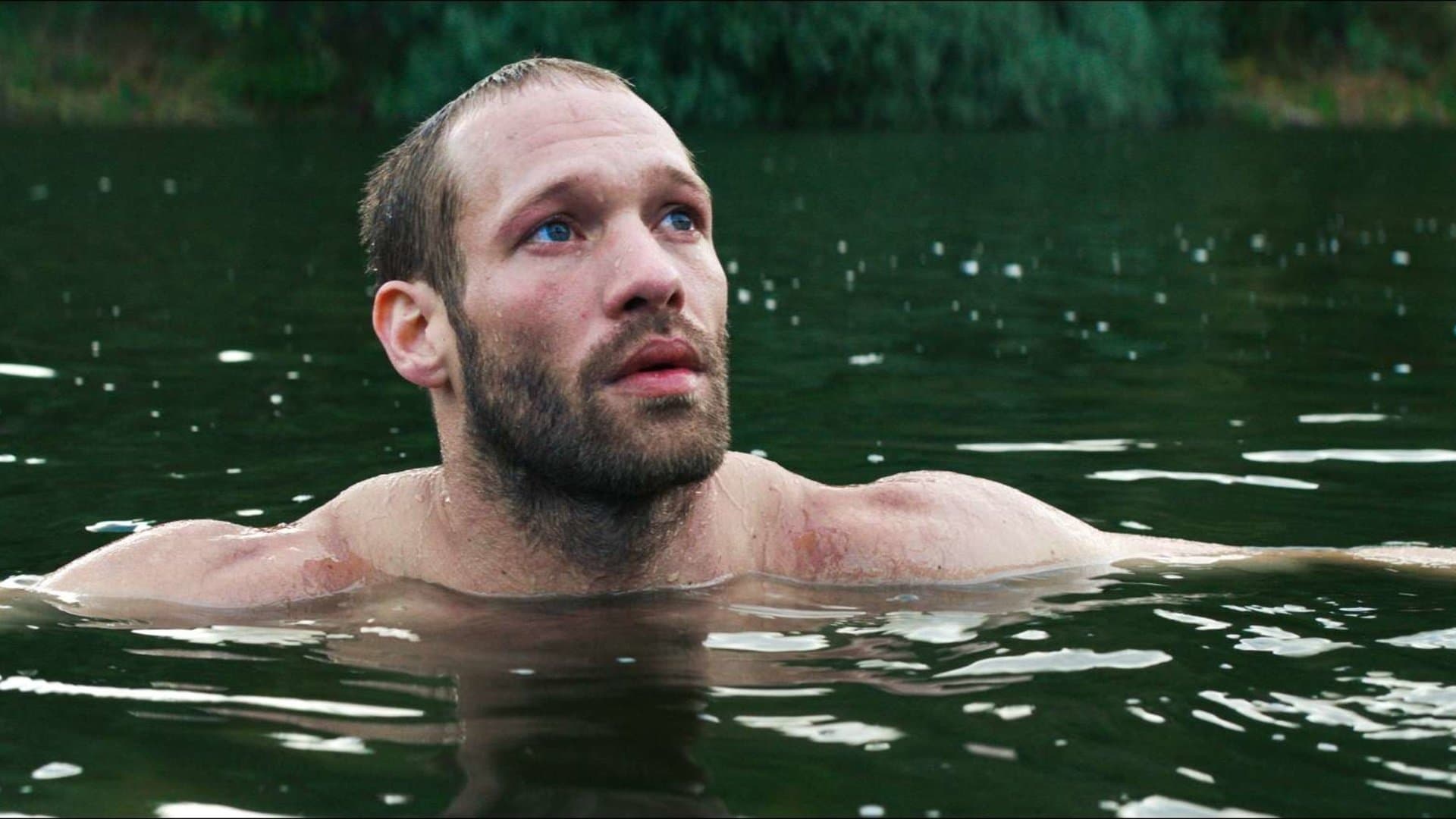 조류학자의 은밀한 모험