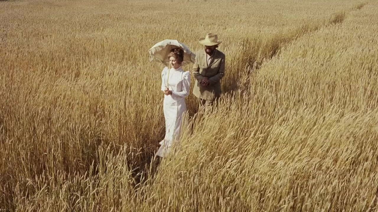 나이츠 앤드 데이즈