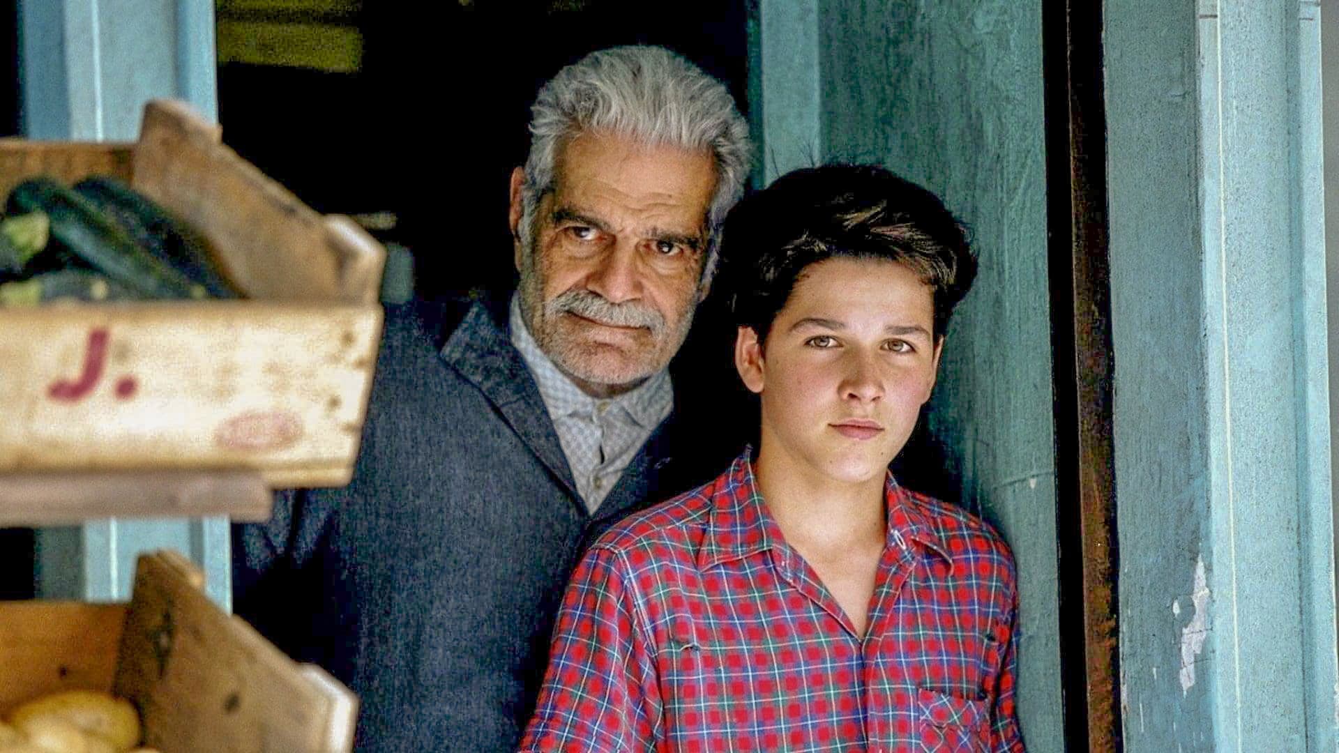 이브라힘씨와 코란의 꽃