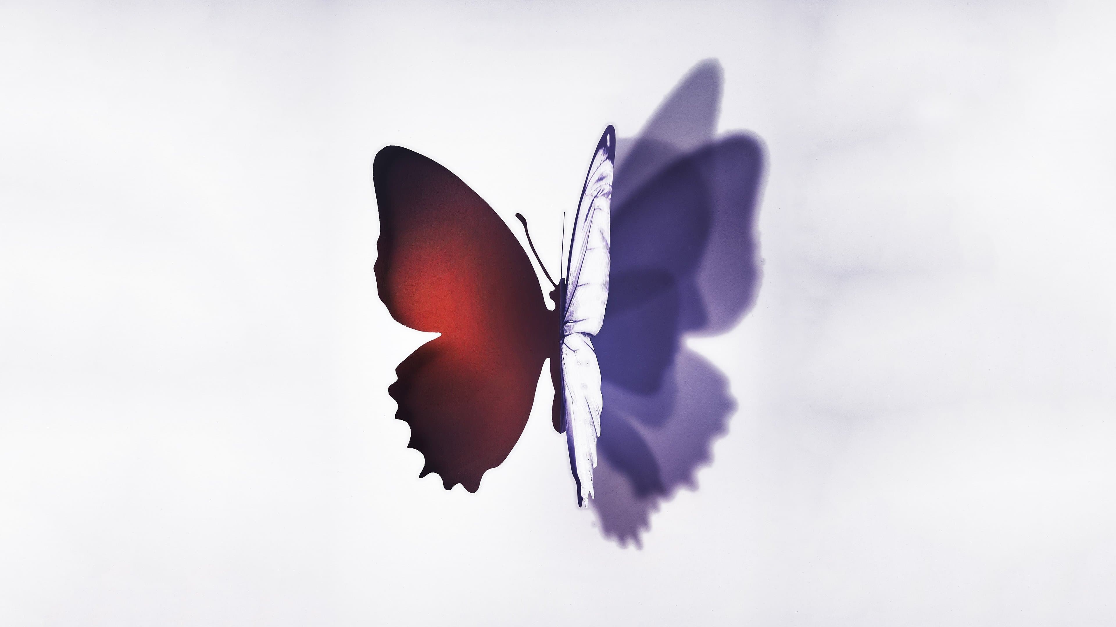 컴플리트 언노운