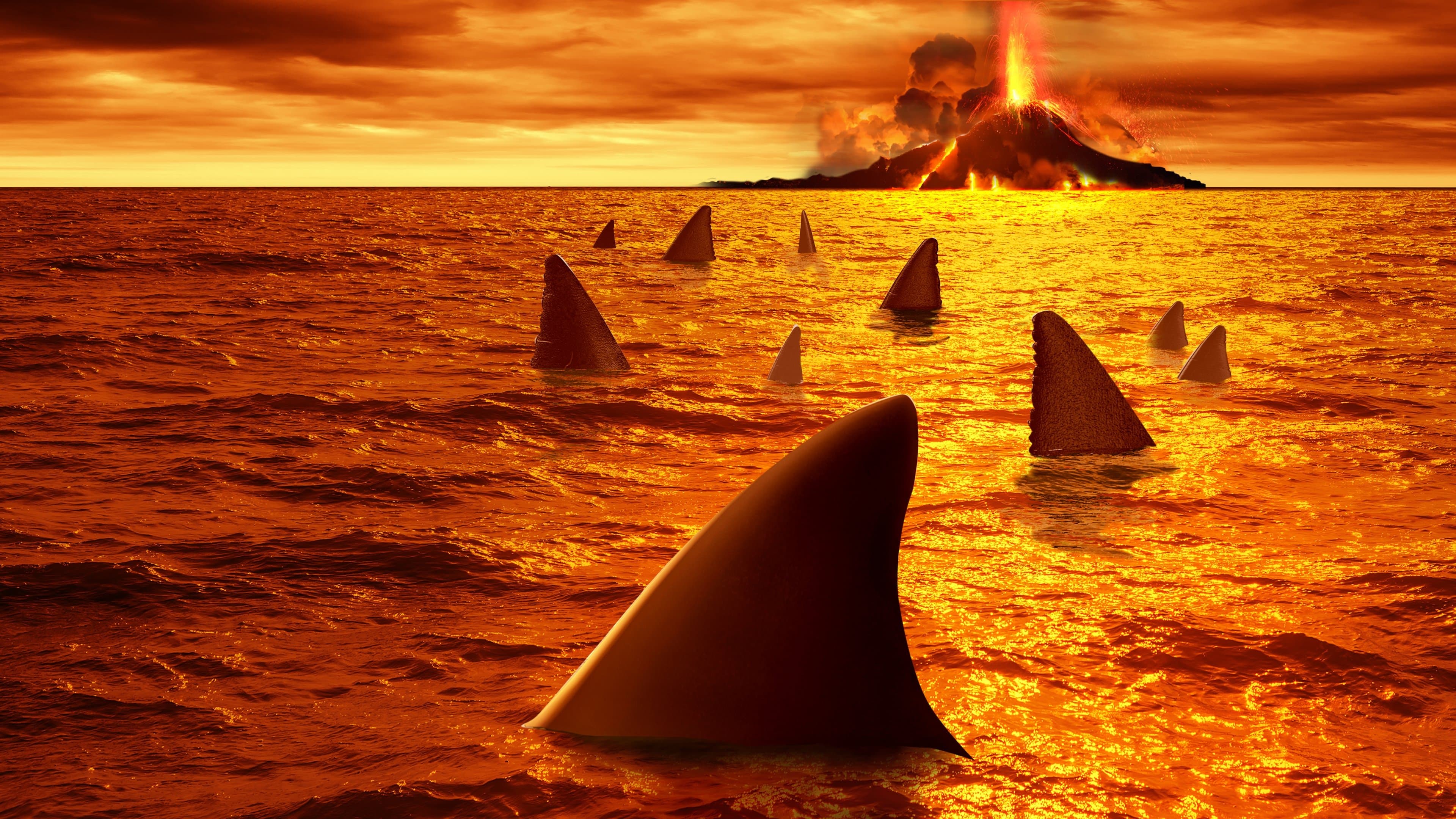 화산으로 간 상어