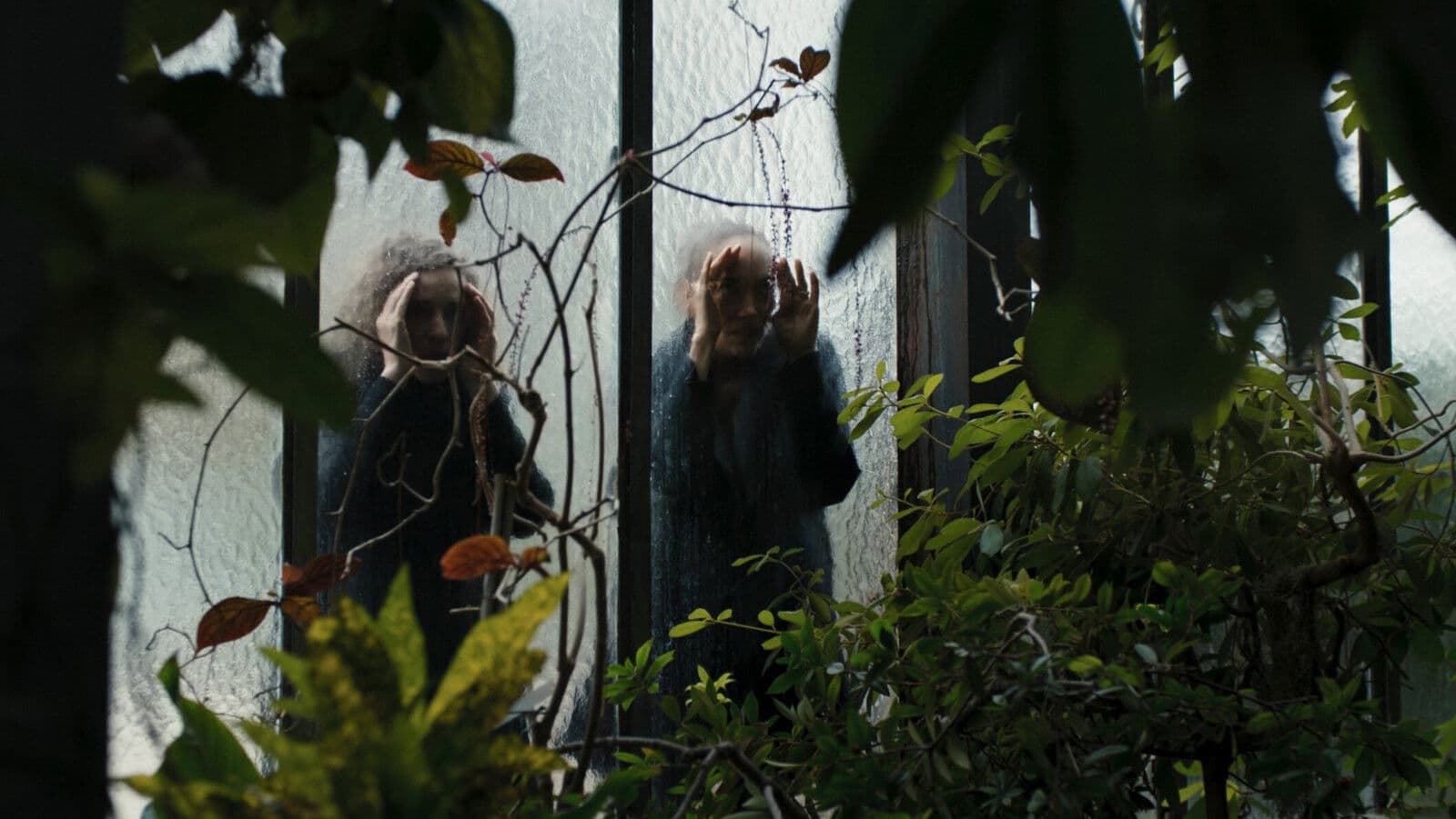 작은 사랑의 패키지