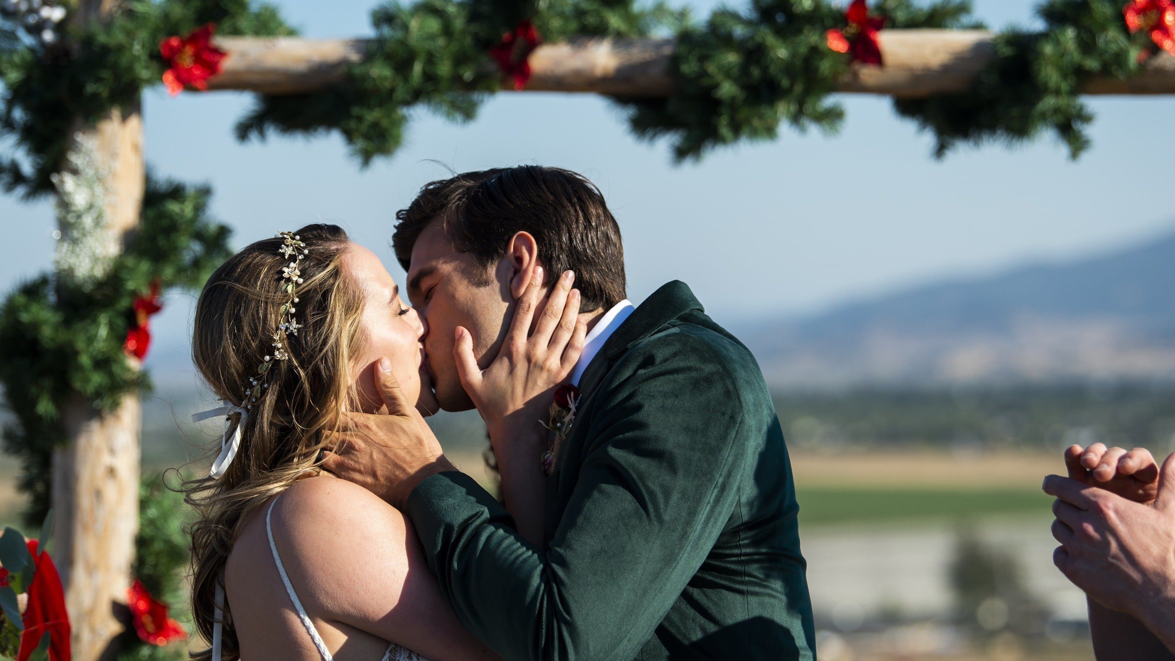 캘리포니아 크리스마스: 도시의 불빛