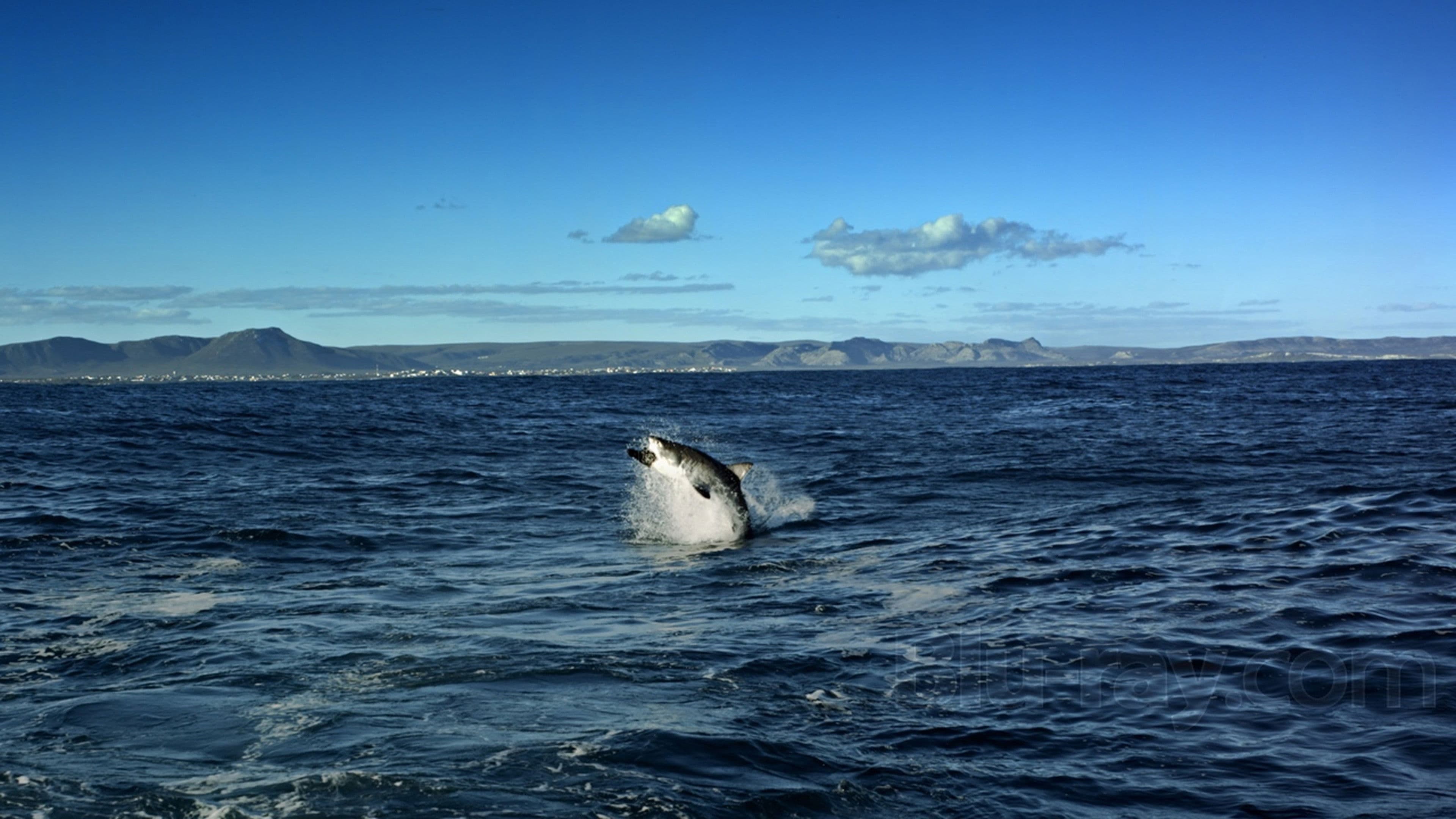 익스트림 네이처 컬렉션