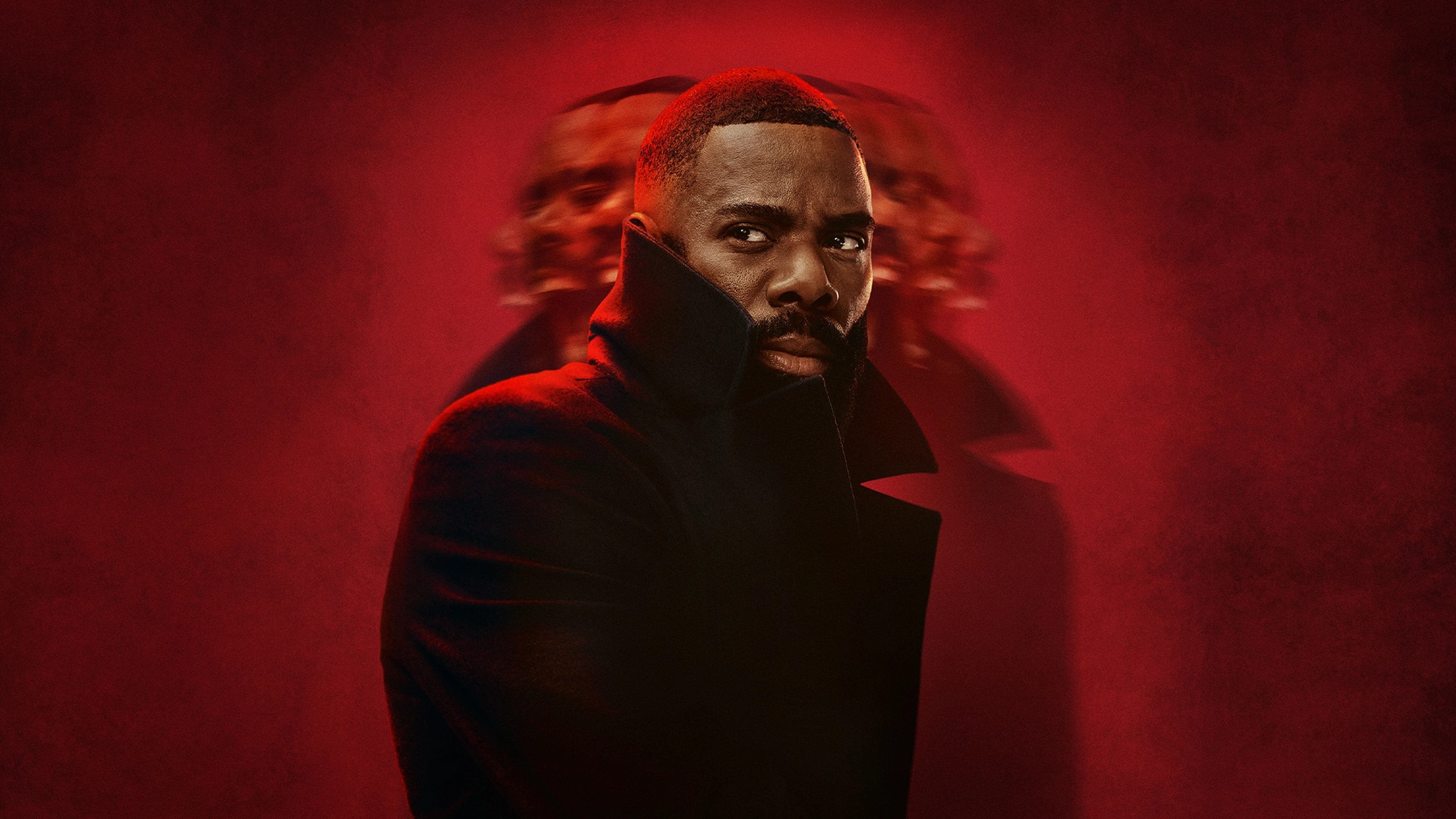 혼돈의 세상에서