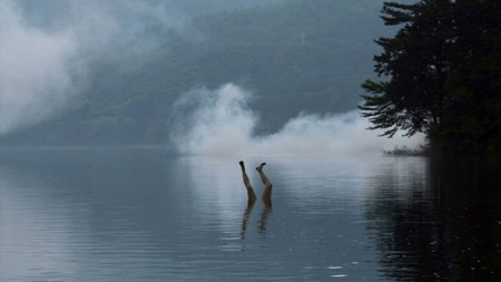 이누가미가의 일족