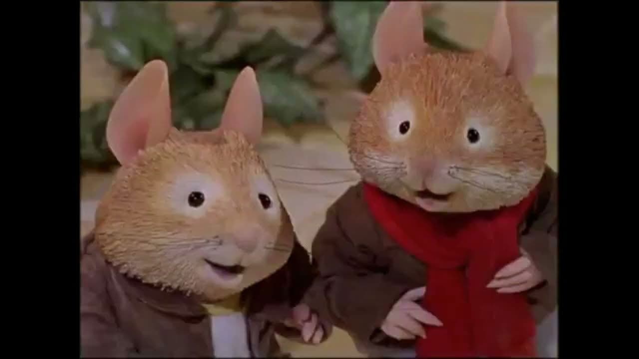 가시덤불 울타리