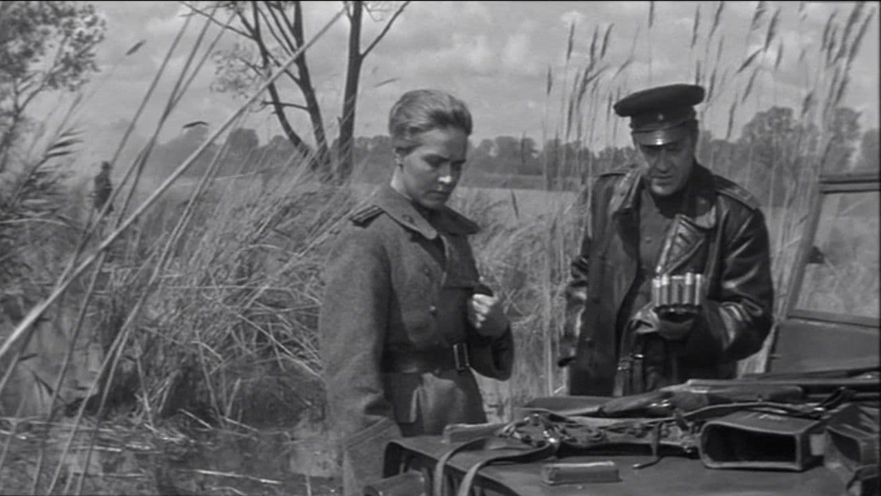 Весна на Одере