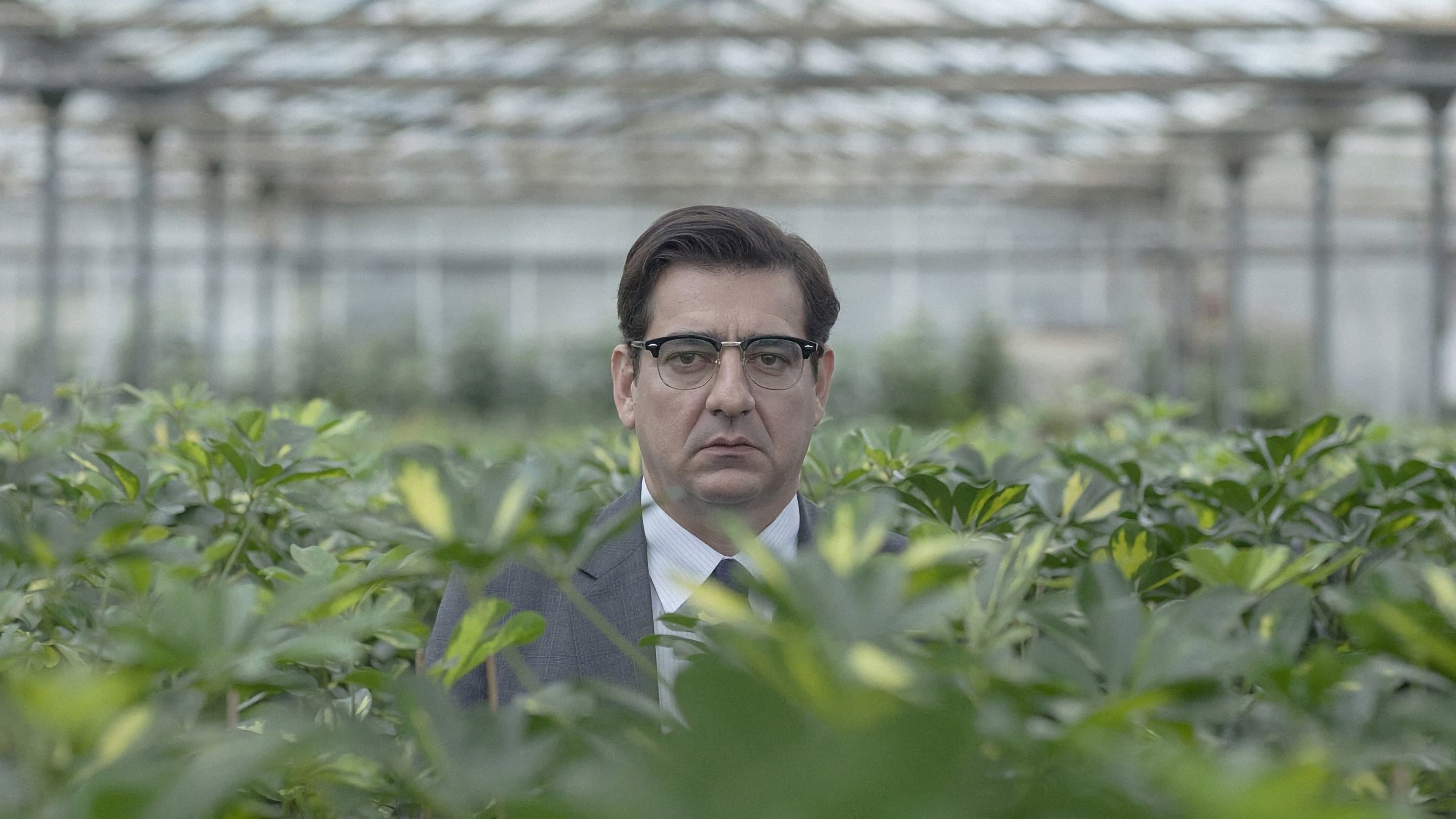 동정에 중독된 남자