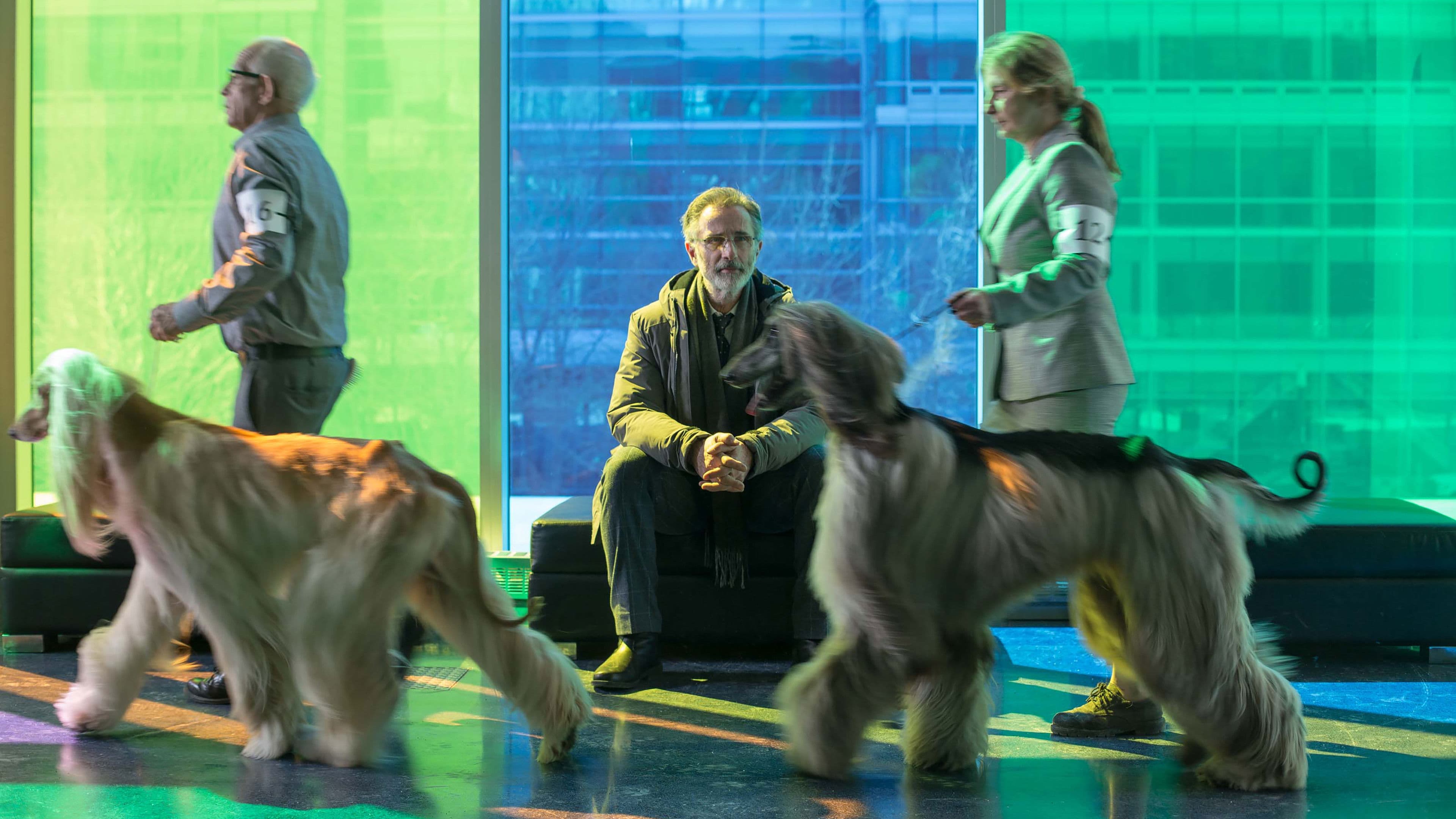 더 뉴 라이프 오브 파울 스네이더르