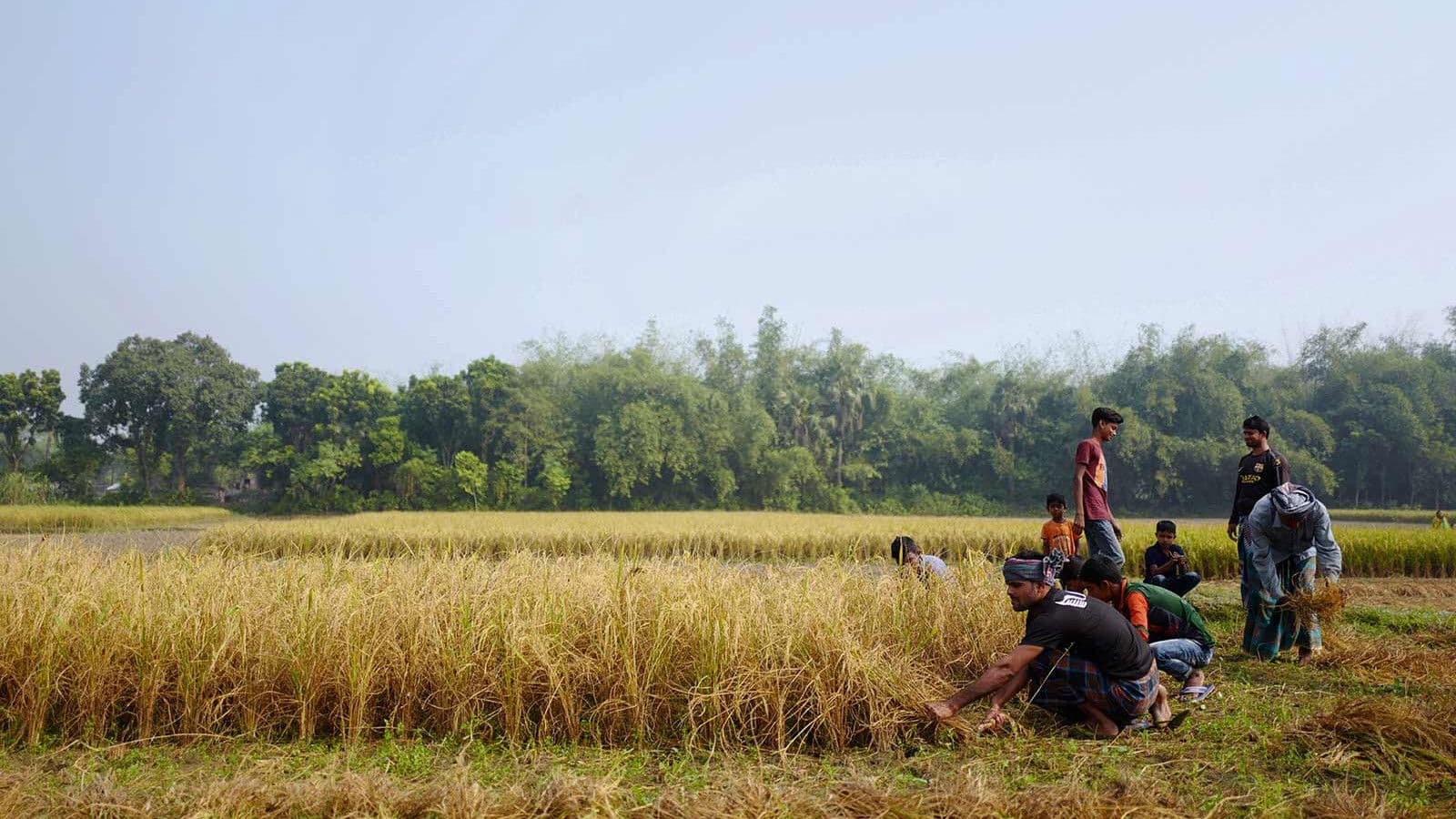 싱가포르를 꿈꾸다