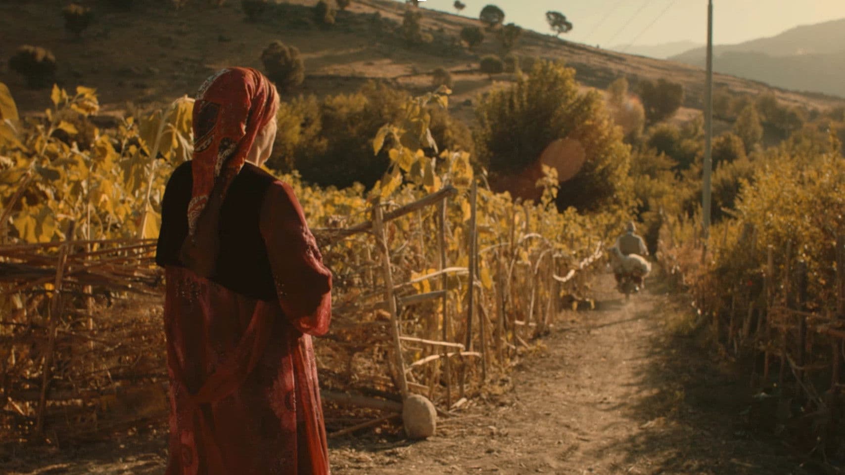 غەریبانە لەم خۆشبەختییە دەڕوانم