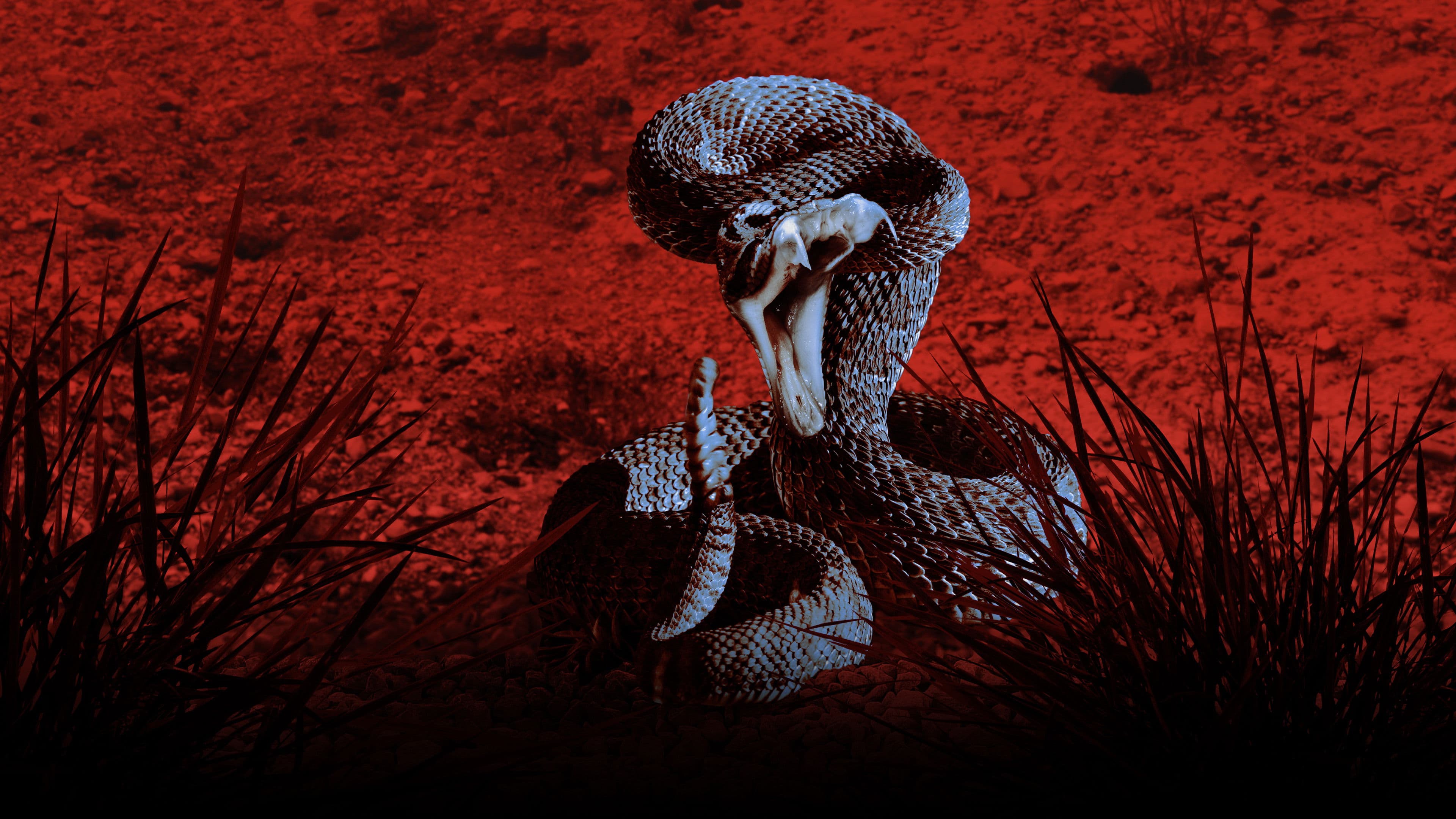 무언가에 물렸어요!