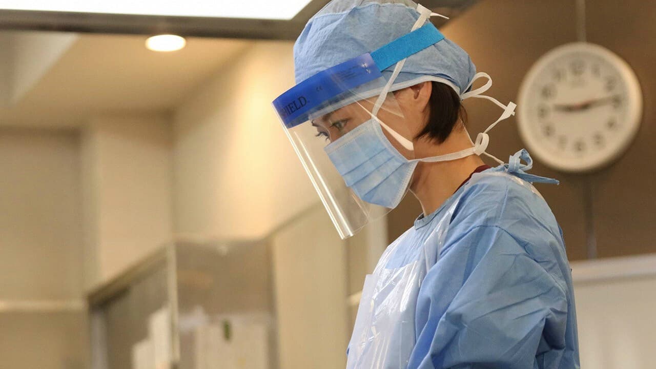 감찰의 아사가오