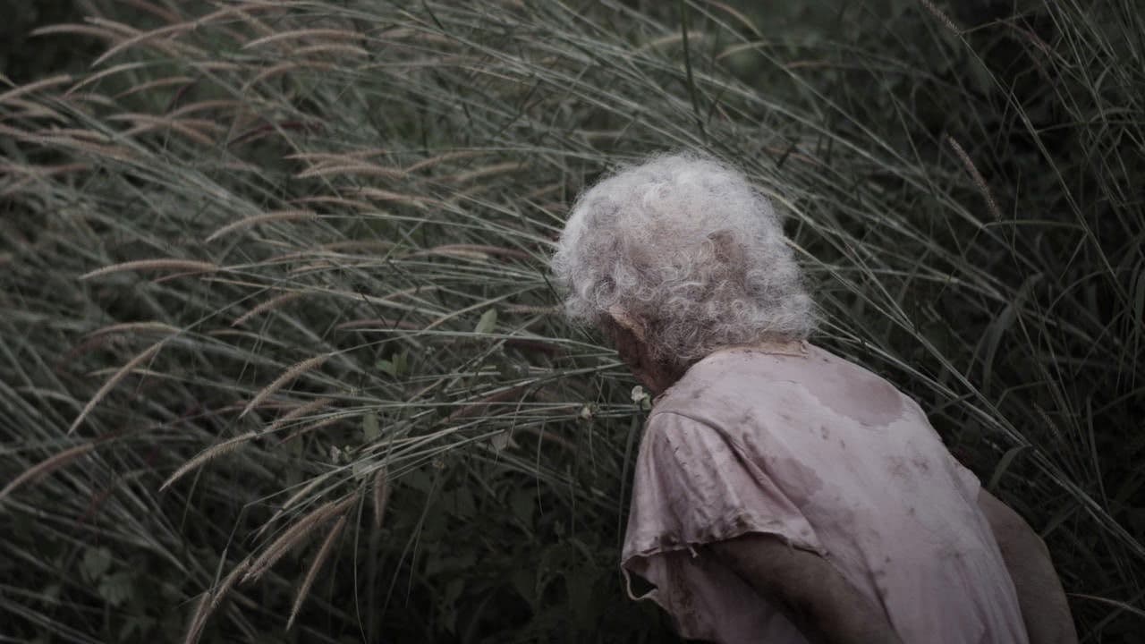 วานิชชิ่ง พอยท์