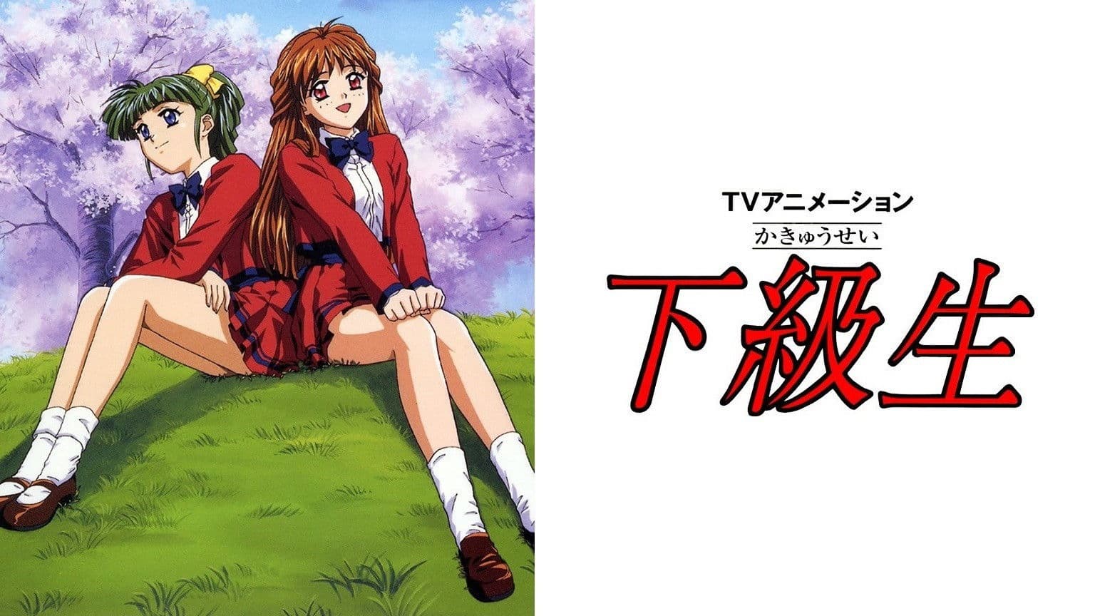 하급생 TV 애니메이션