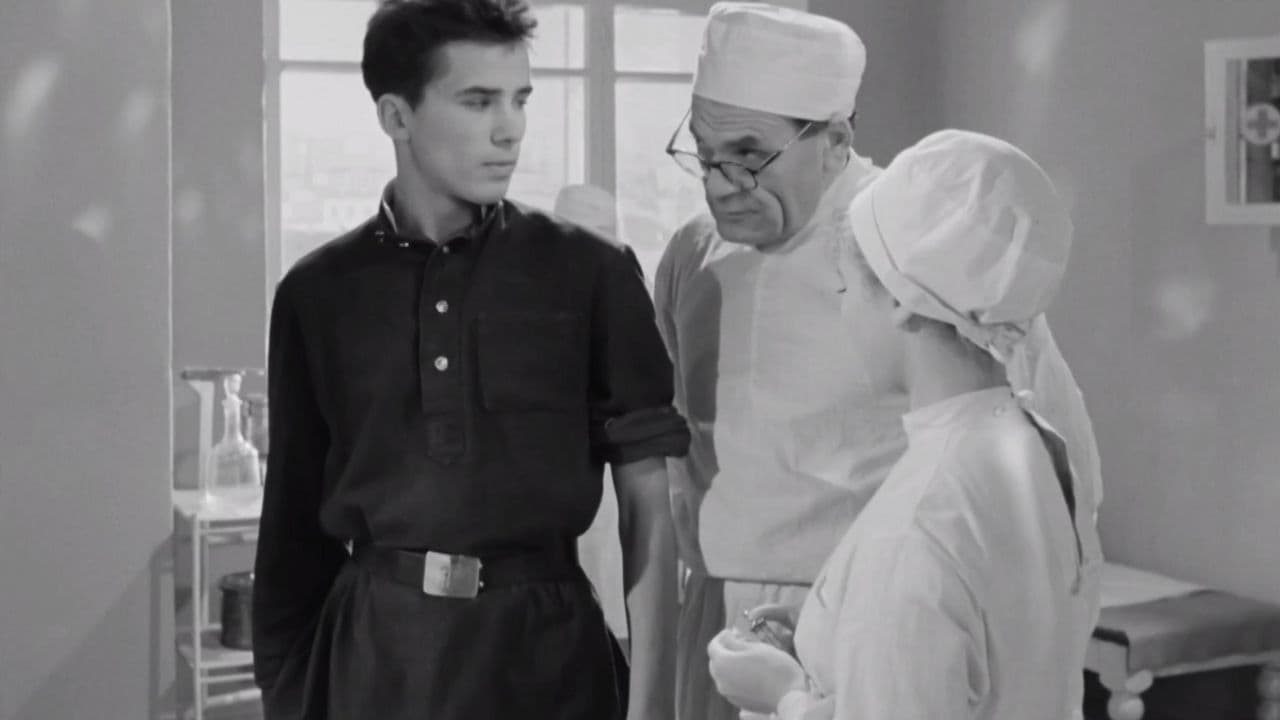 Прощайте, голуби!