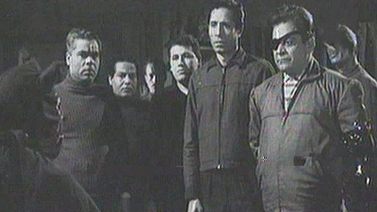 القط الأسود