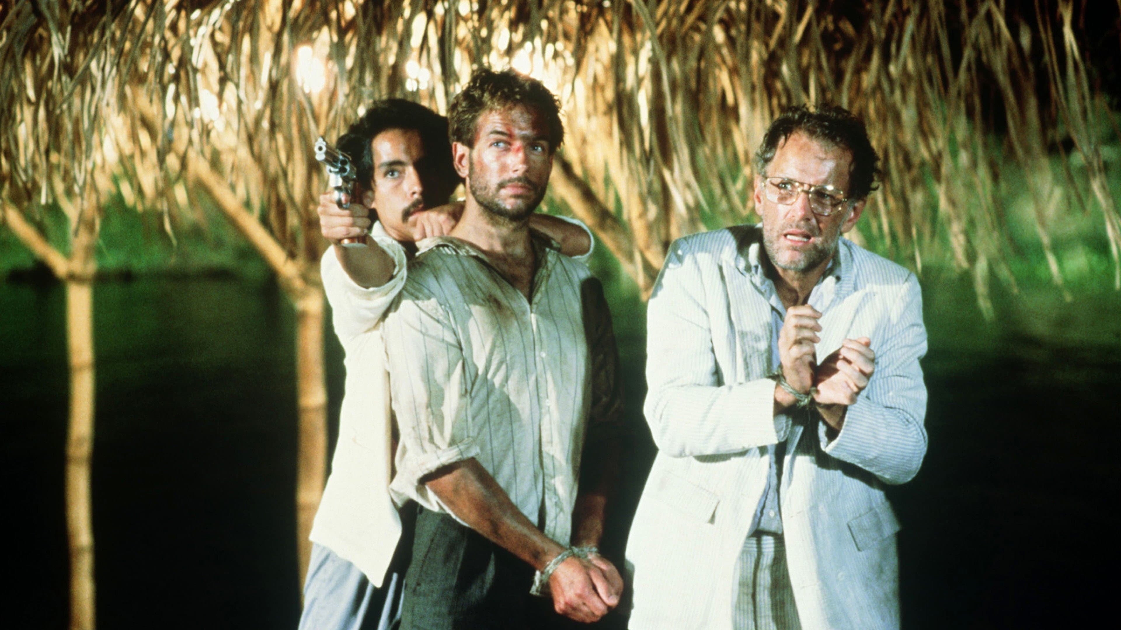 해리 구출 작전