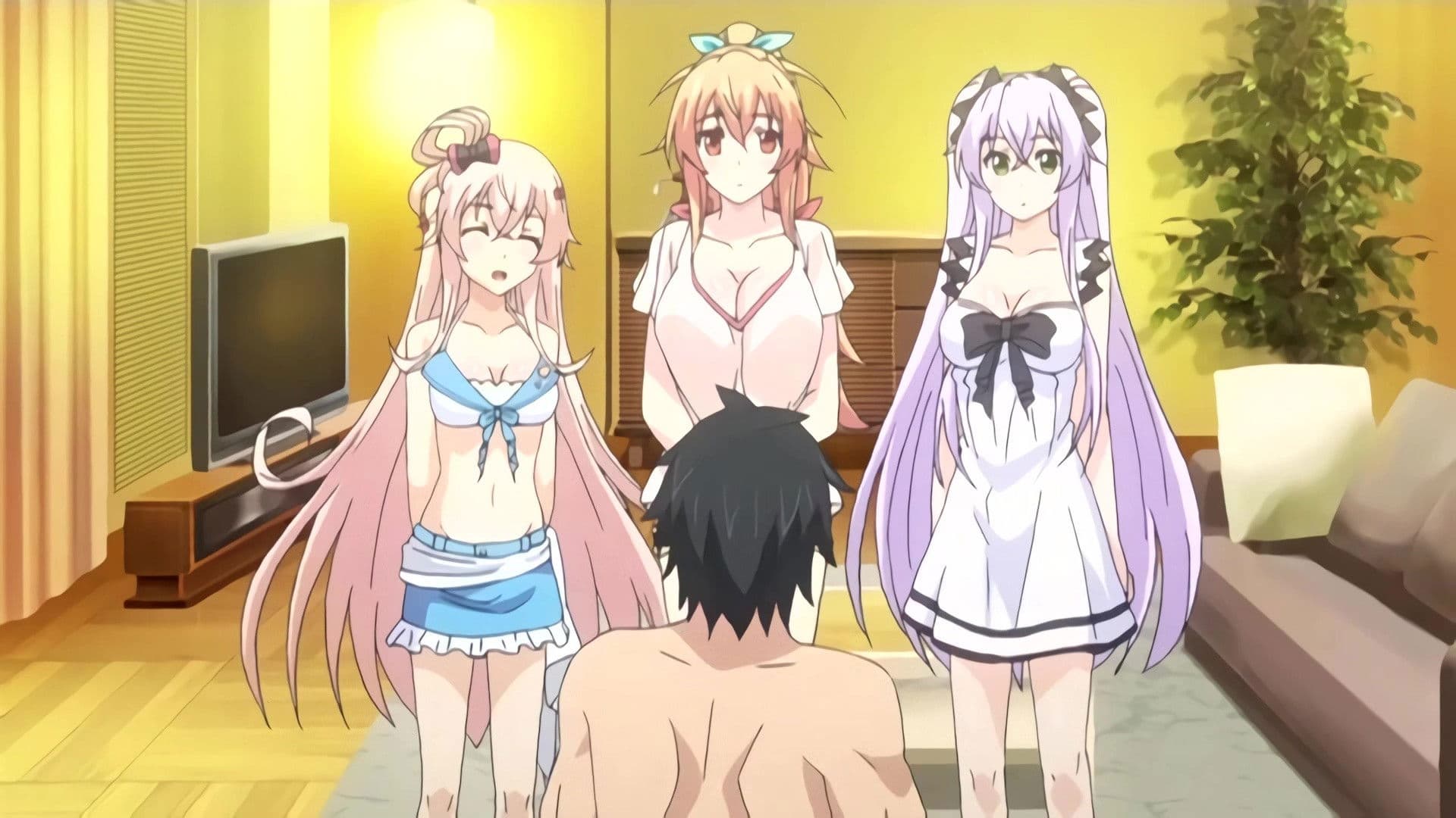 에로 세미나 ~엣찌할 마음 들도록 ABC~ The Animation