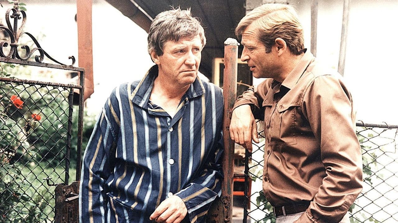 Smrt talentovaného ševce