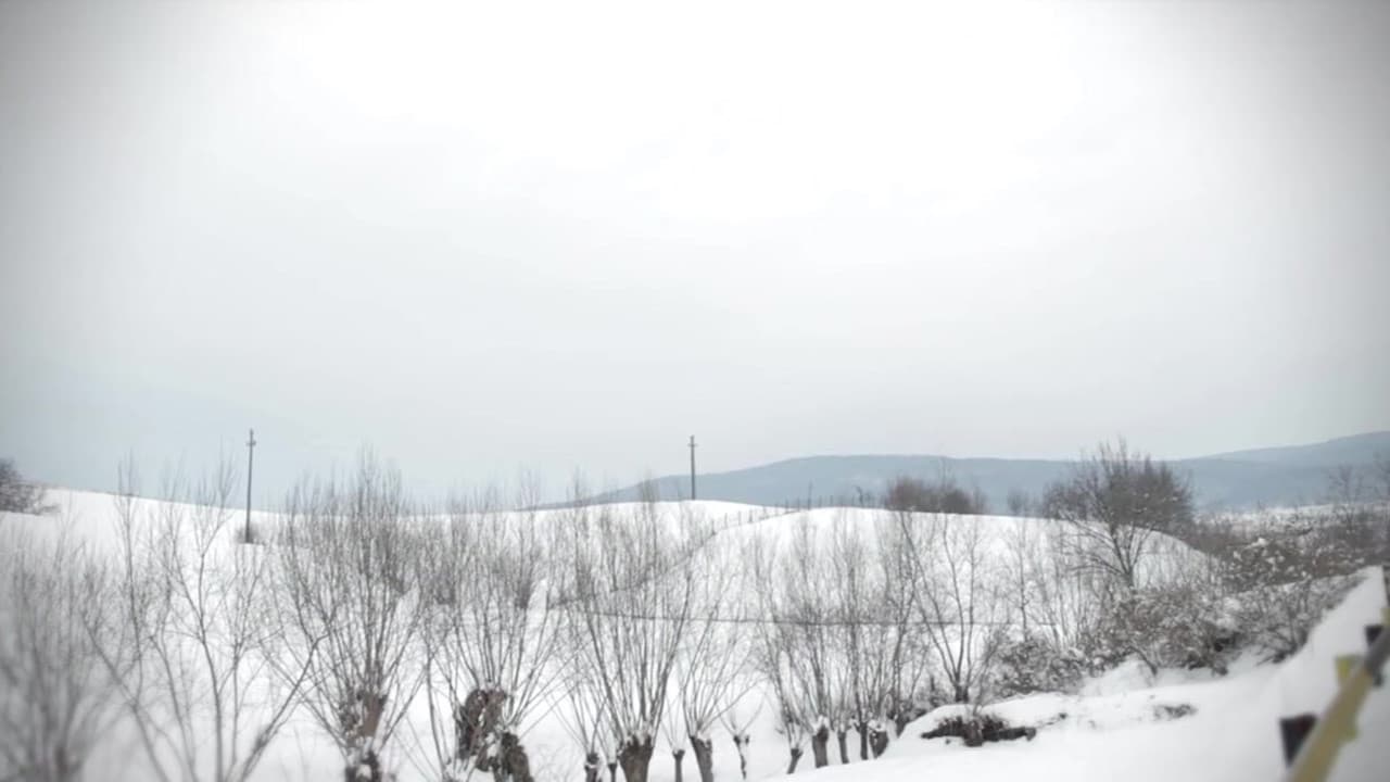 서클 오브 데블