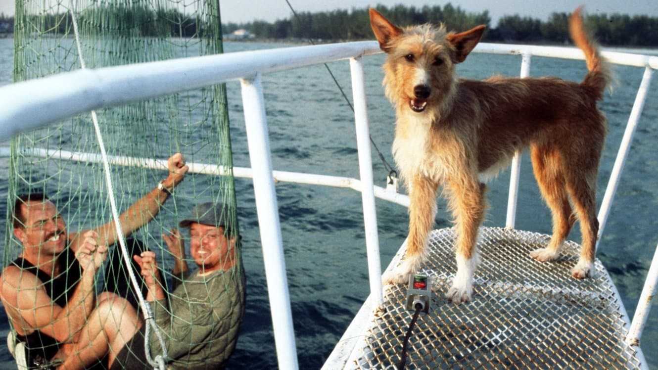 제우스와 록산느