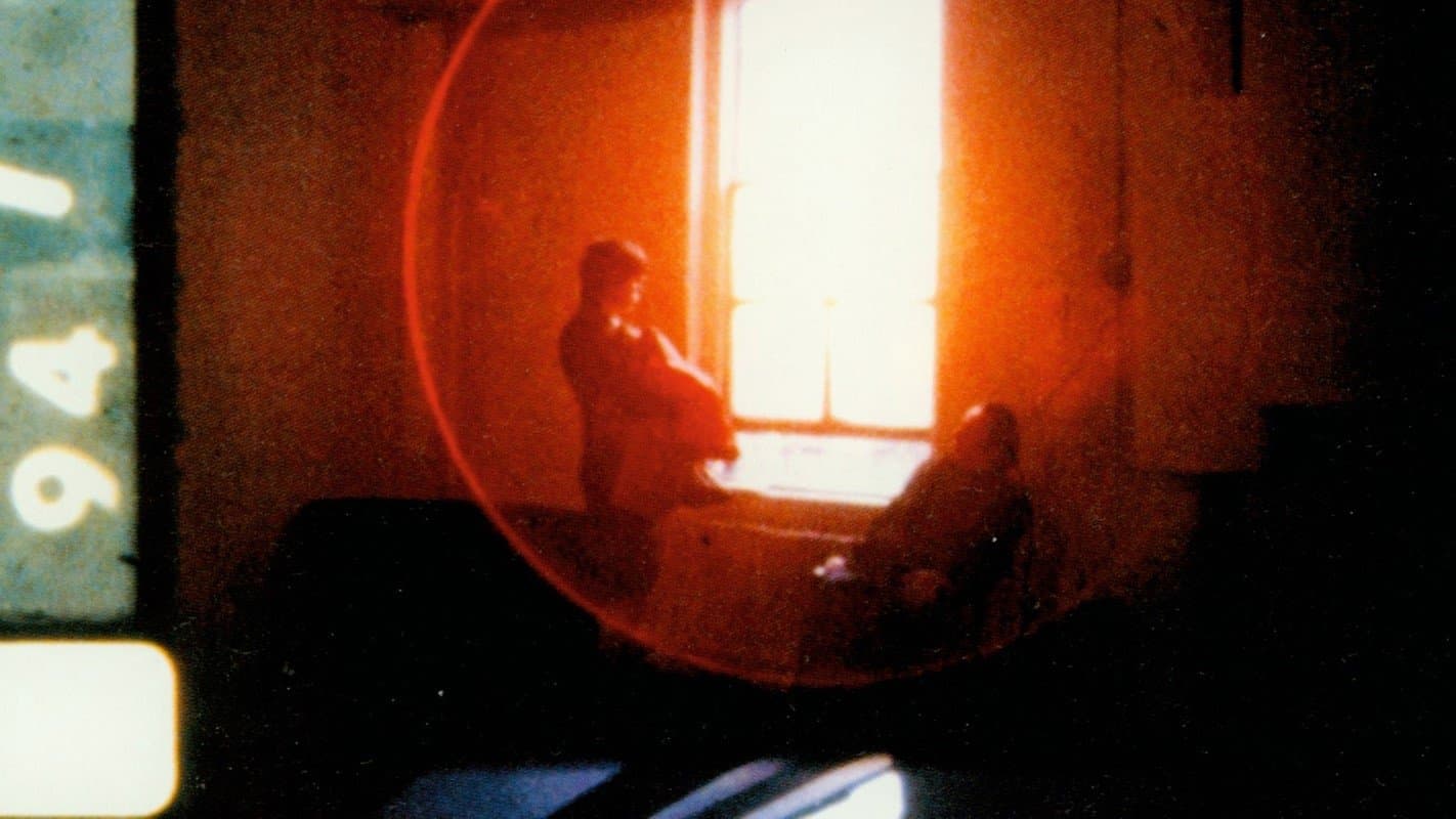 우연히 나는 아름다움의 섬광을 보았다